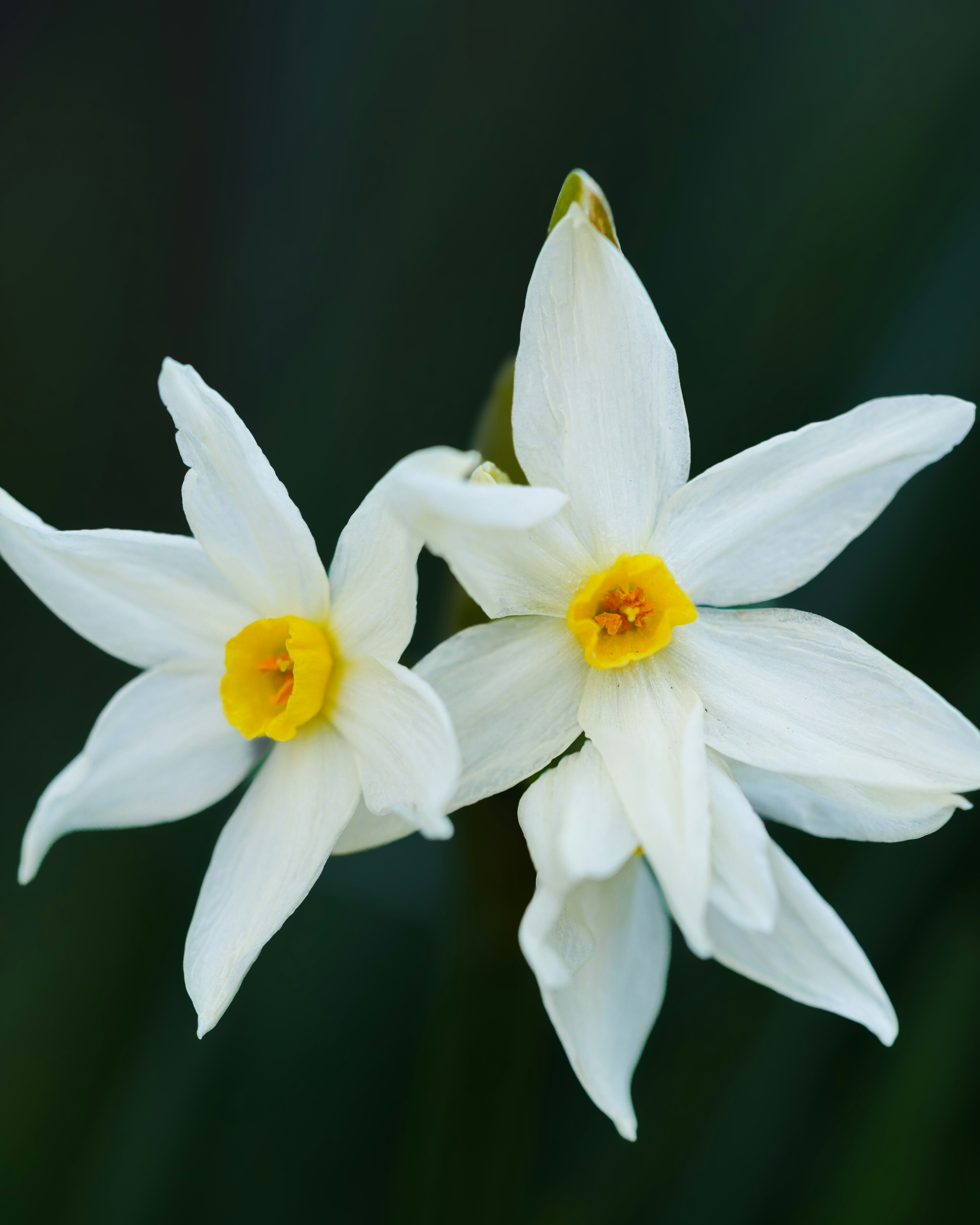 Photo by visualjournal_y