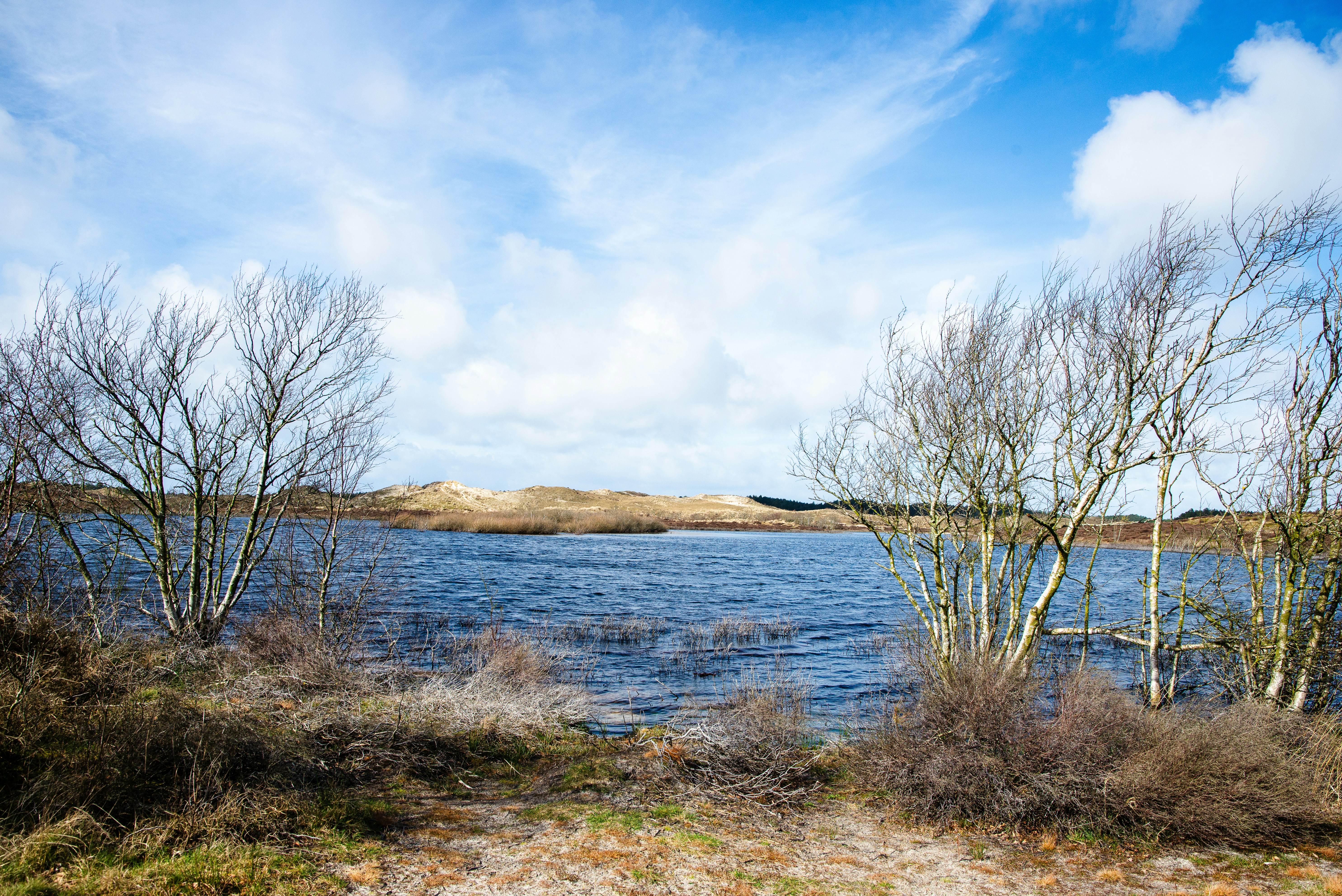 Photo by merlijnrene