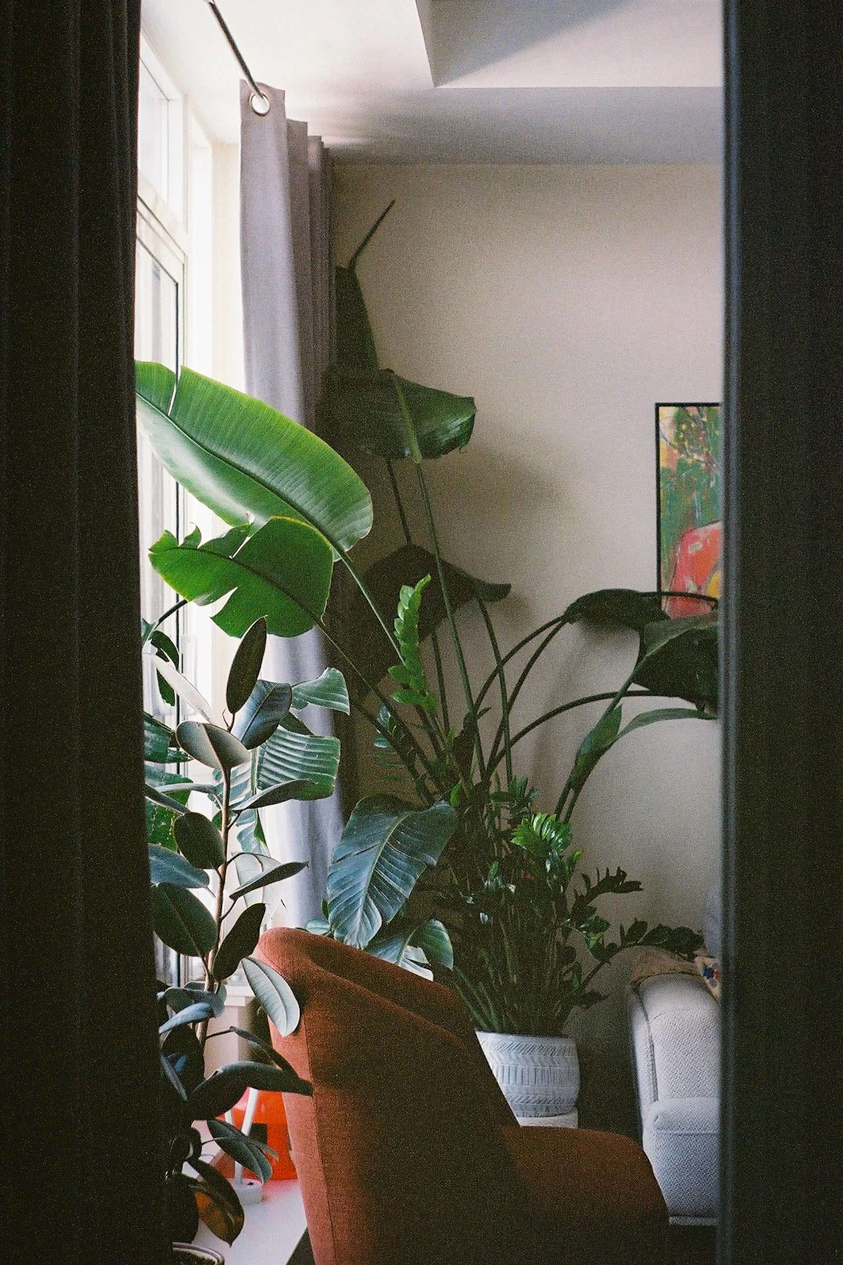 A quiet interior corner layered with lush green plants