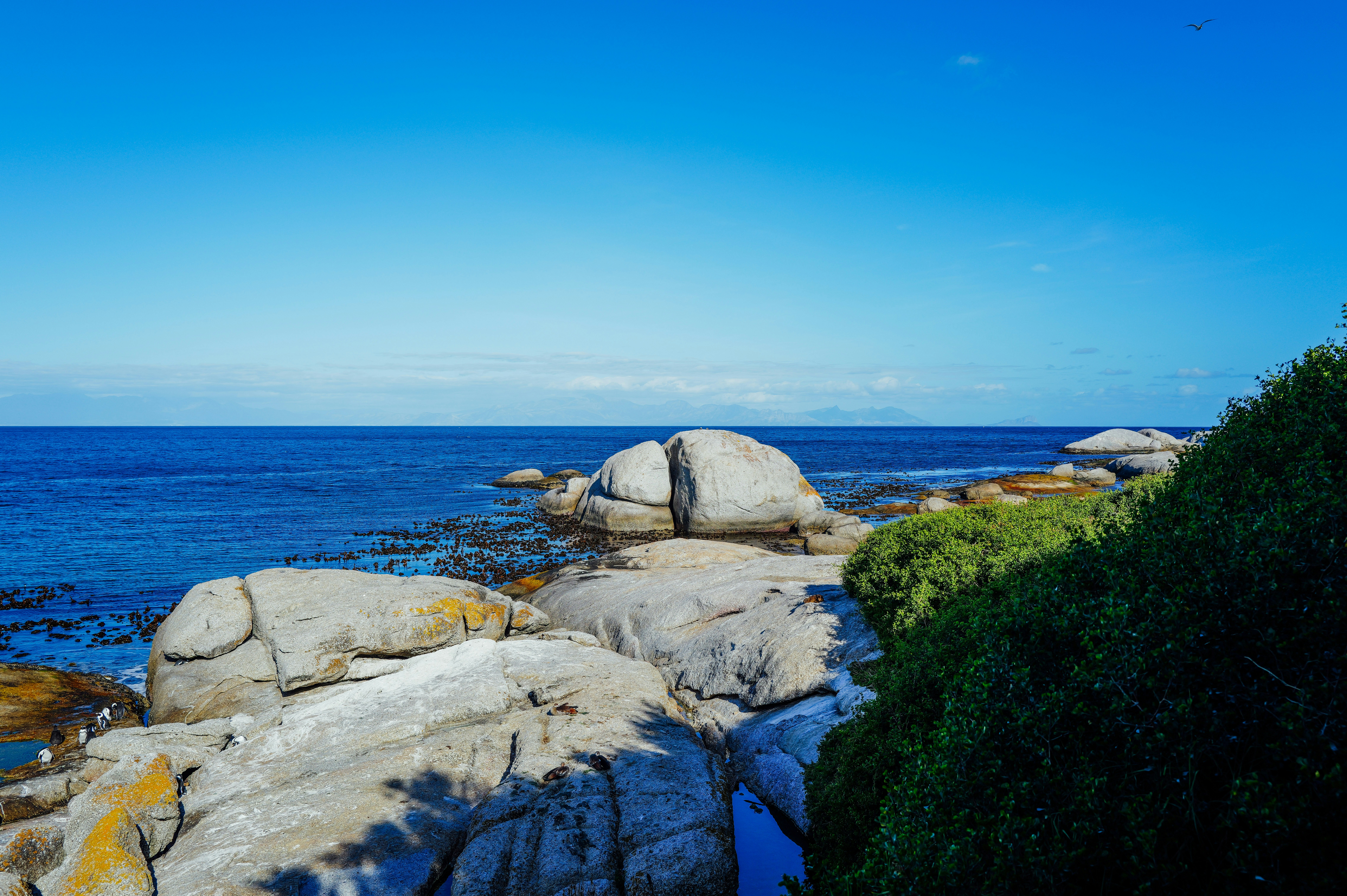 Photo by adrienolichon