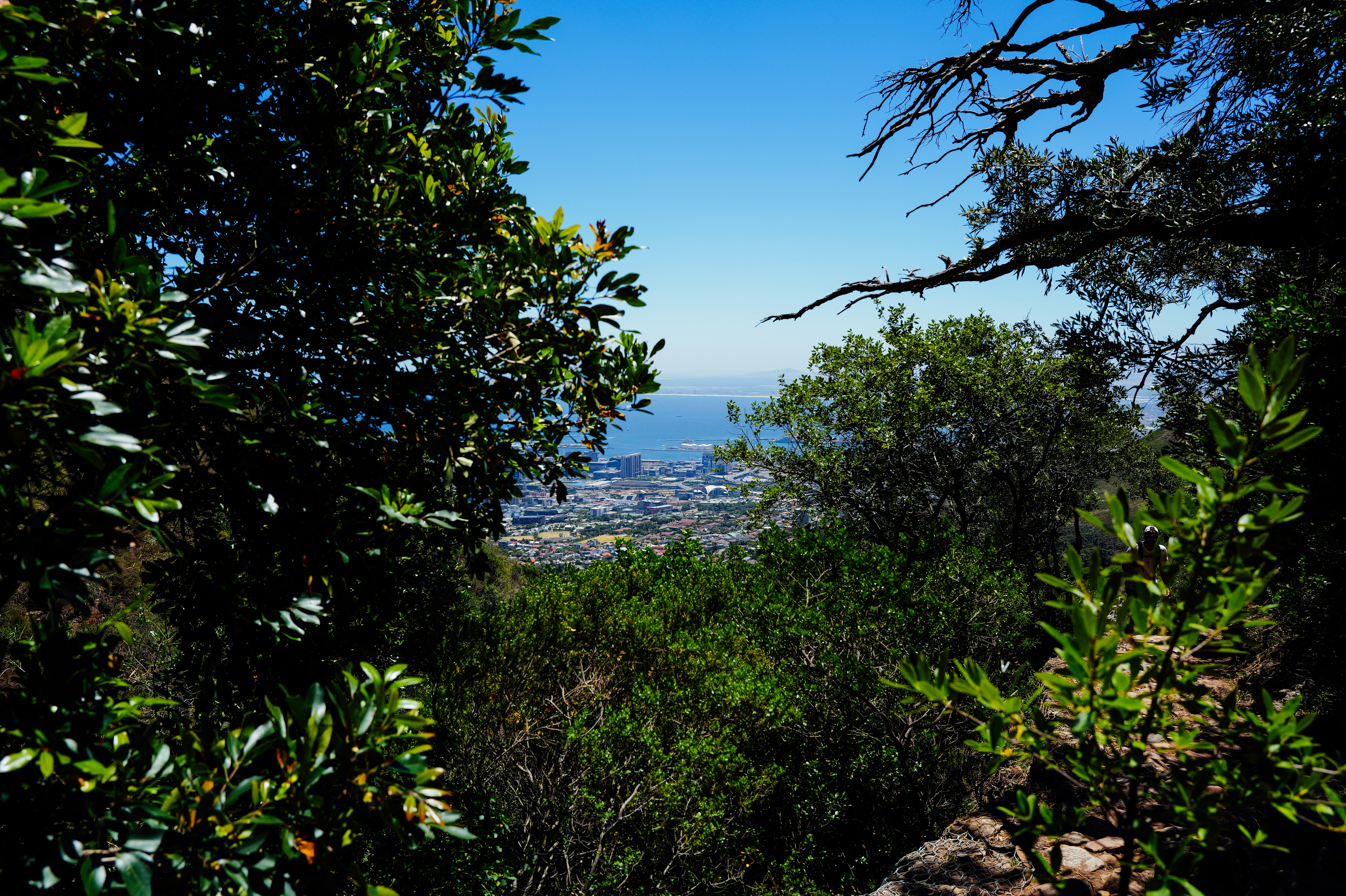 Photo by adrienolichon