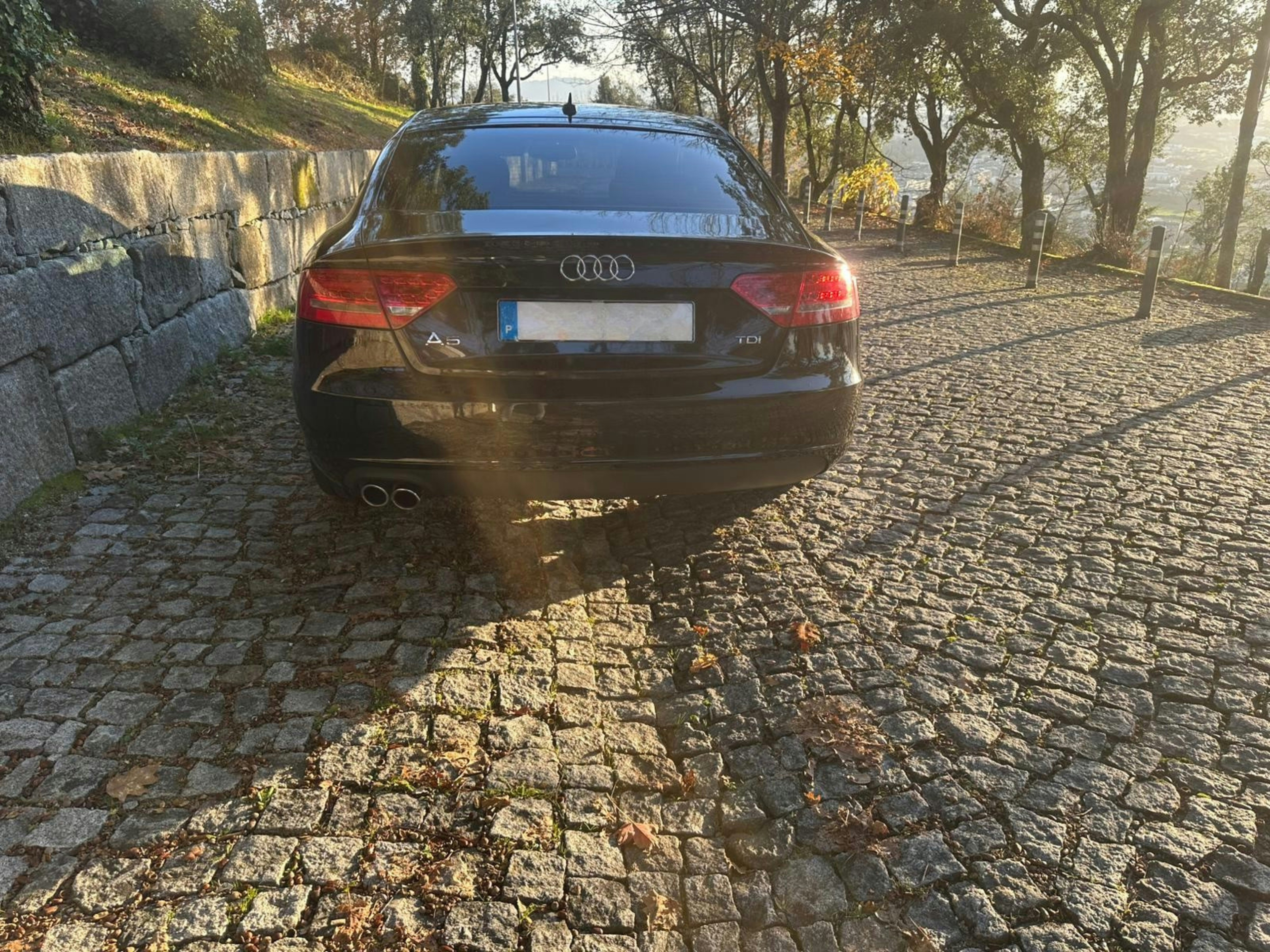 Audi A5 Sportback 2.0 TDI 5