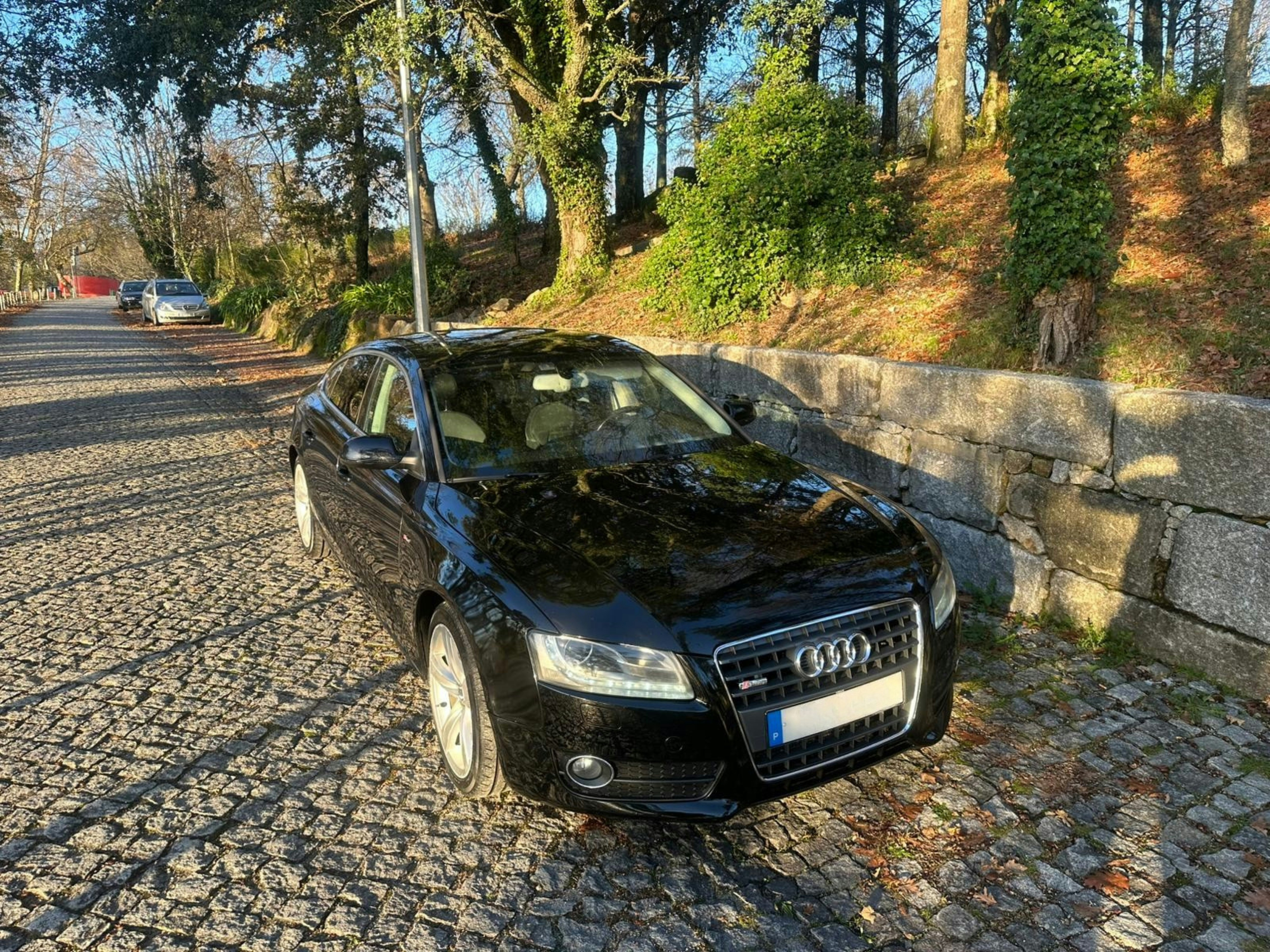 Audi A5 Sportback 2.0 TDI 8