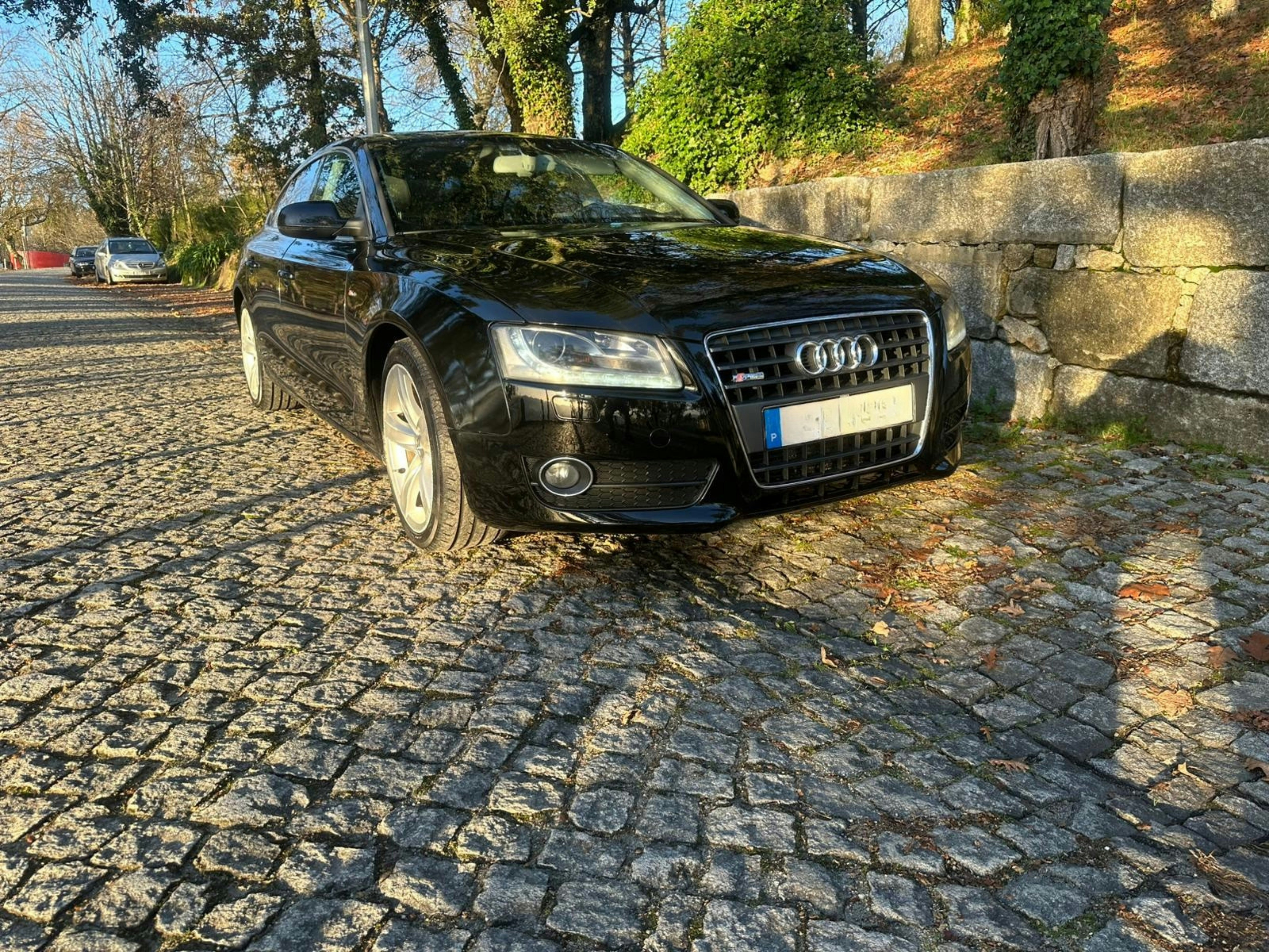 Audi A5 Sportback 2.0 TDI 2