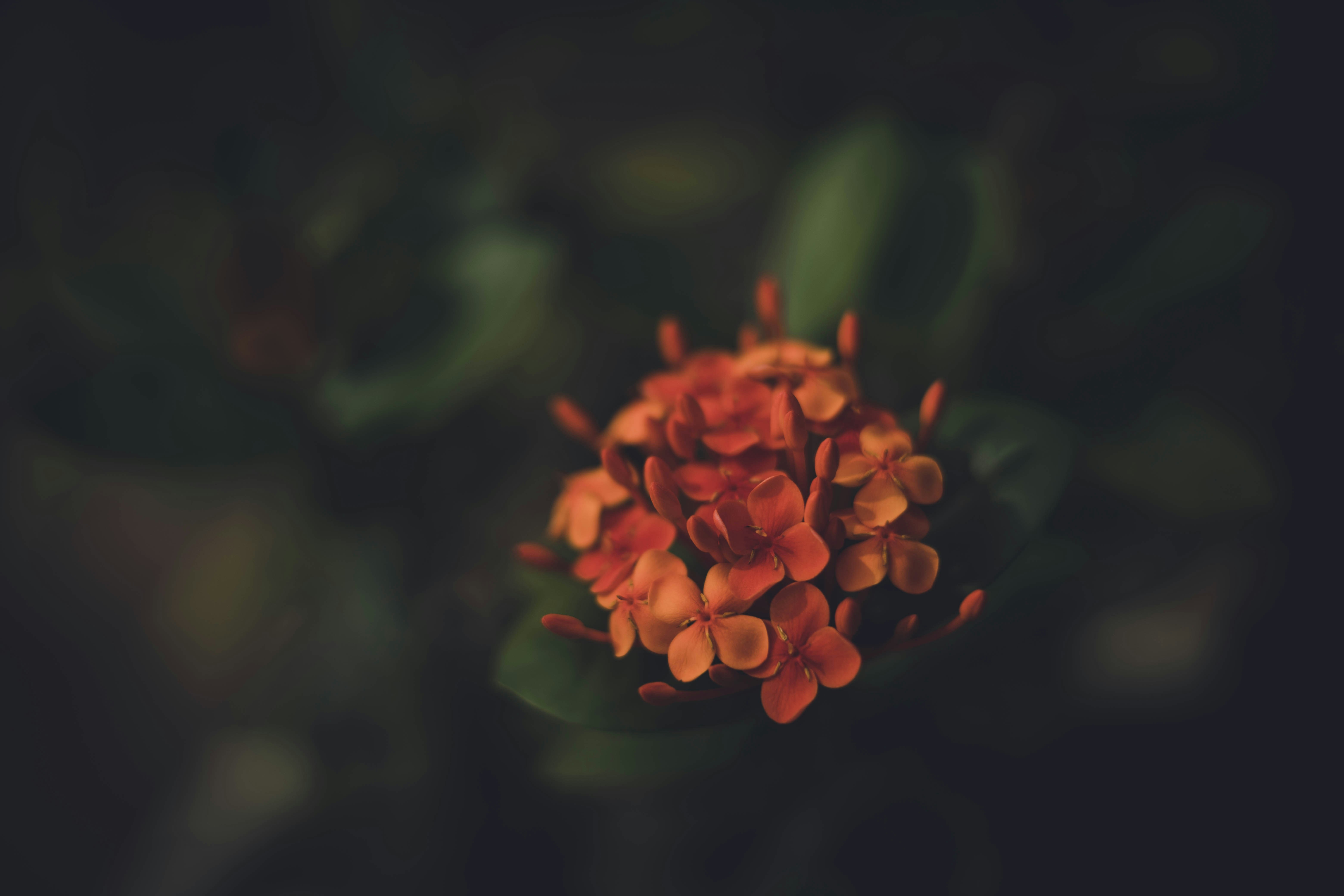 Photo by rrodriguesim