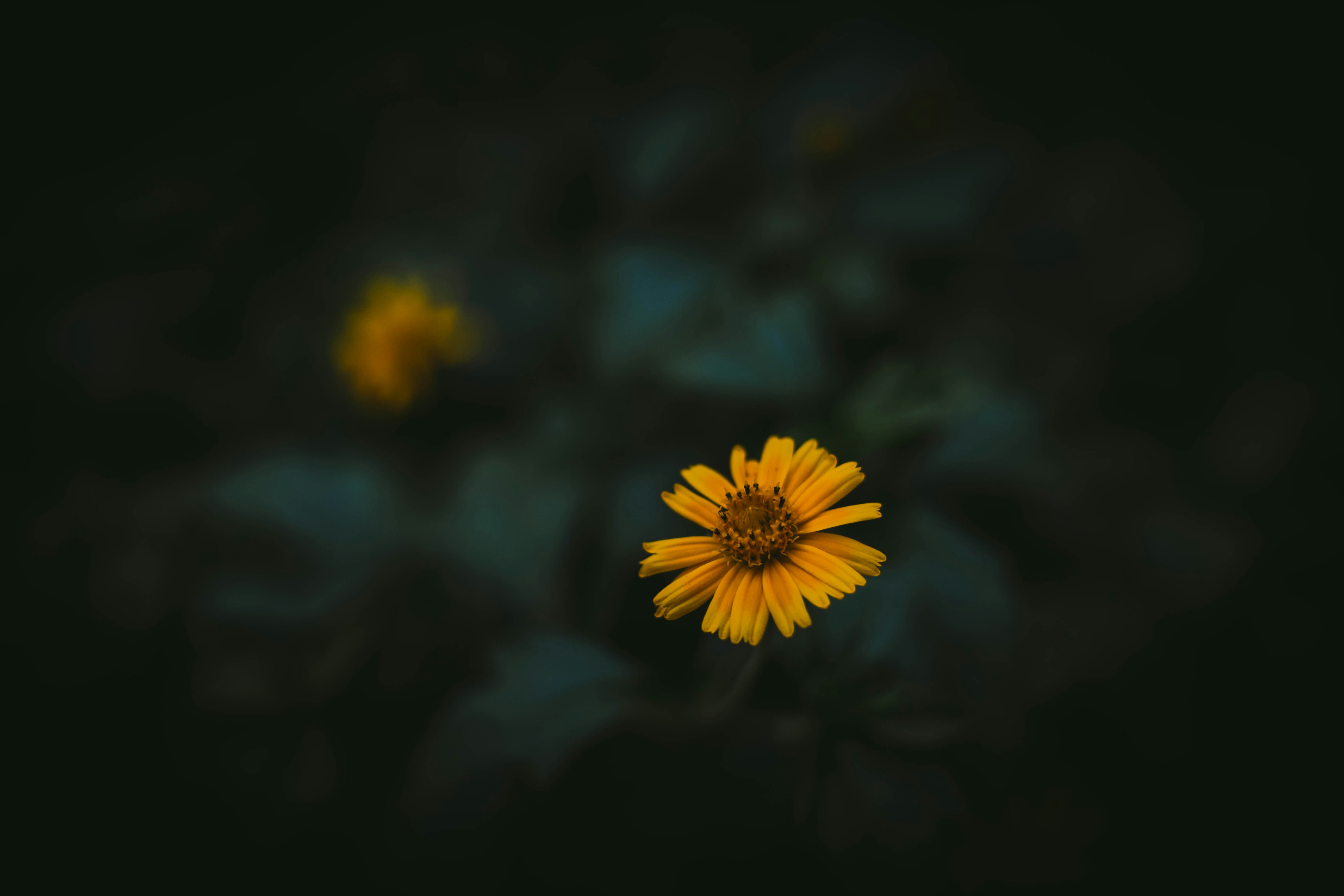 Photo by rrodriguesim