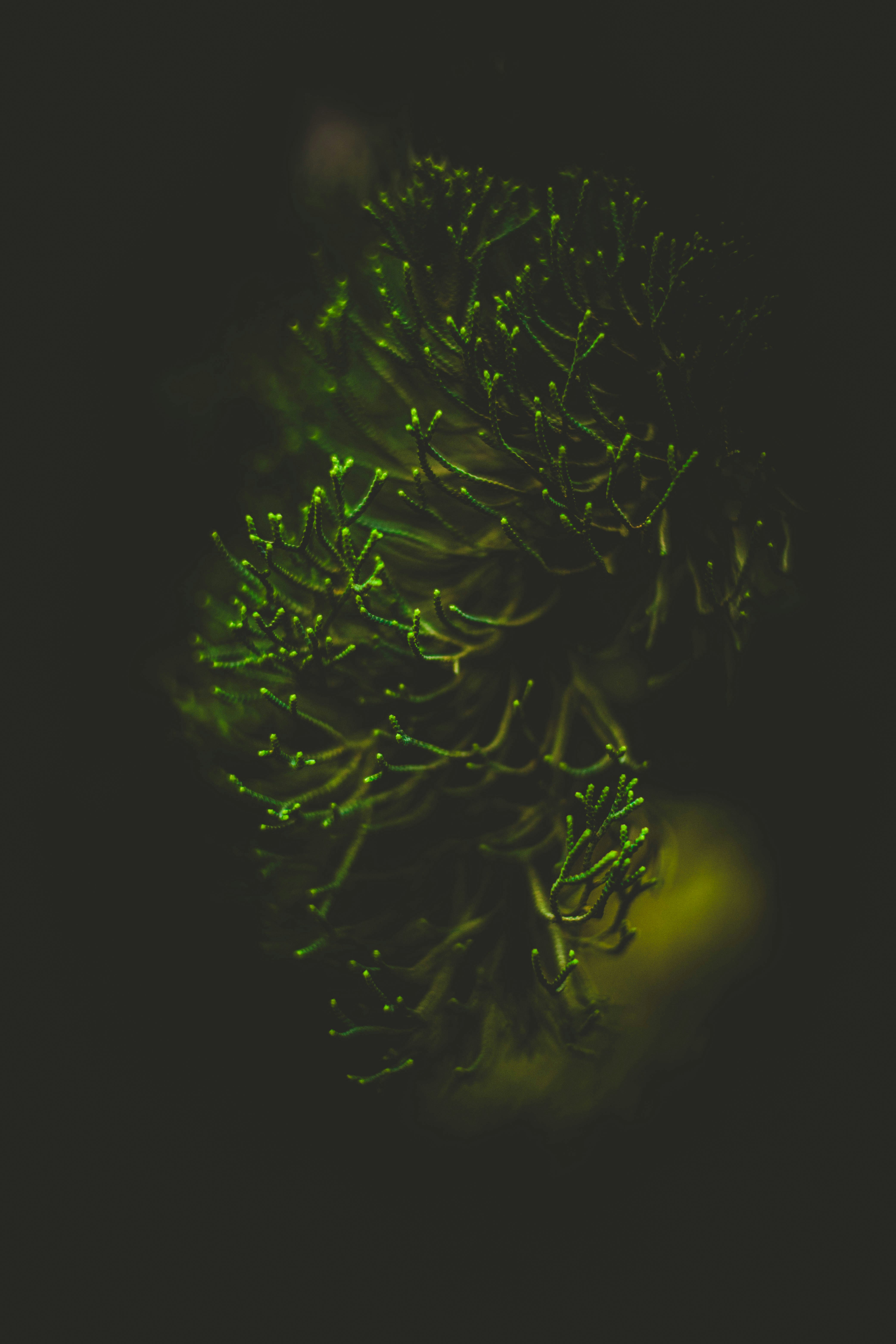 Photo by rrodriguesim