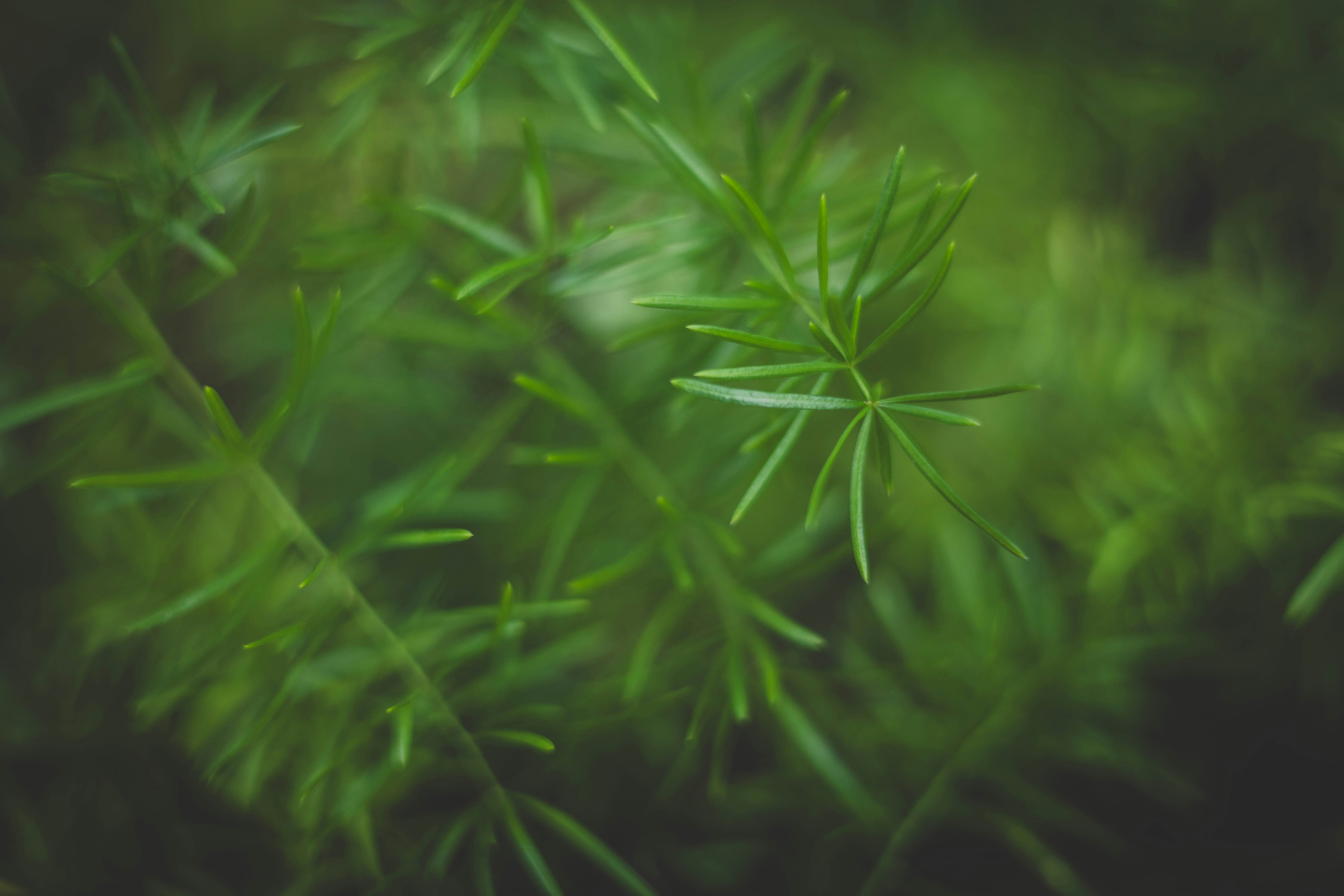 Photo by rrodriguesim