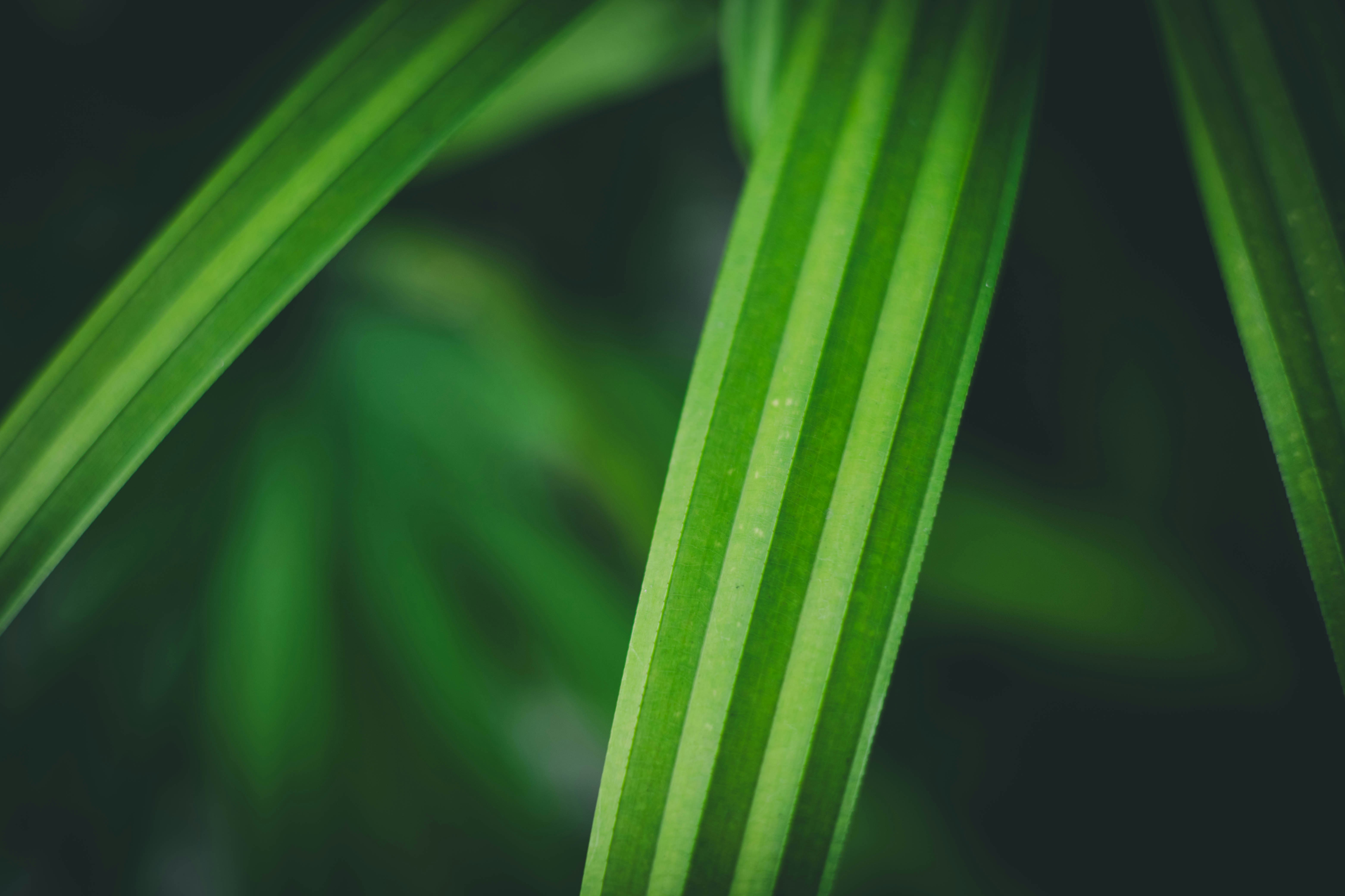 Photo by rrodriguesim