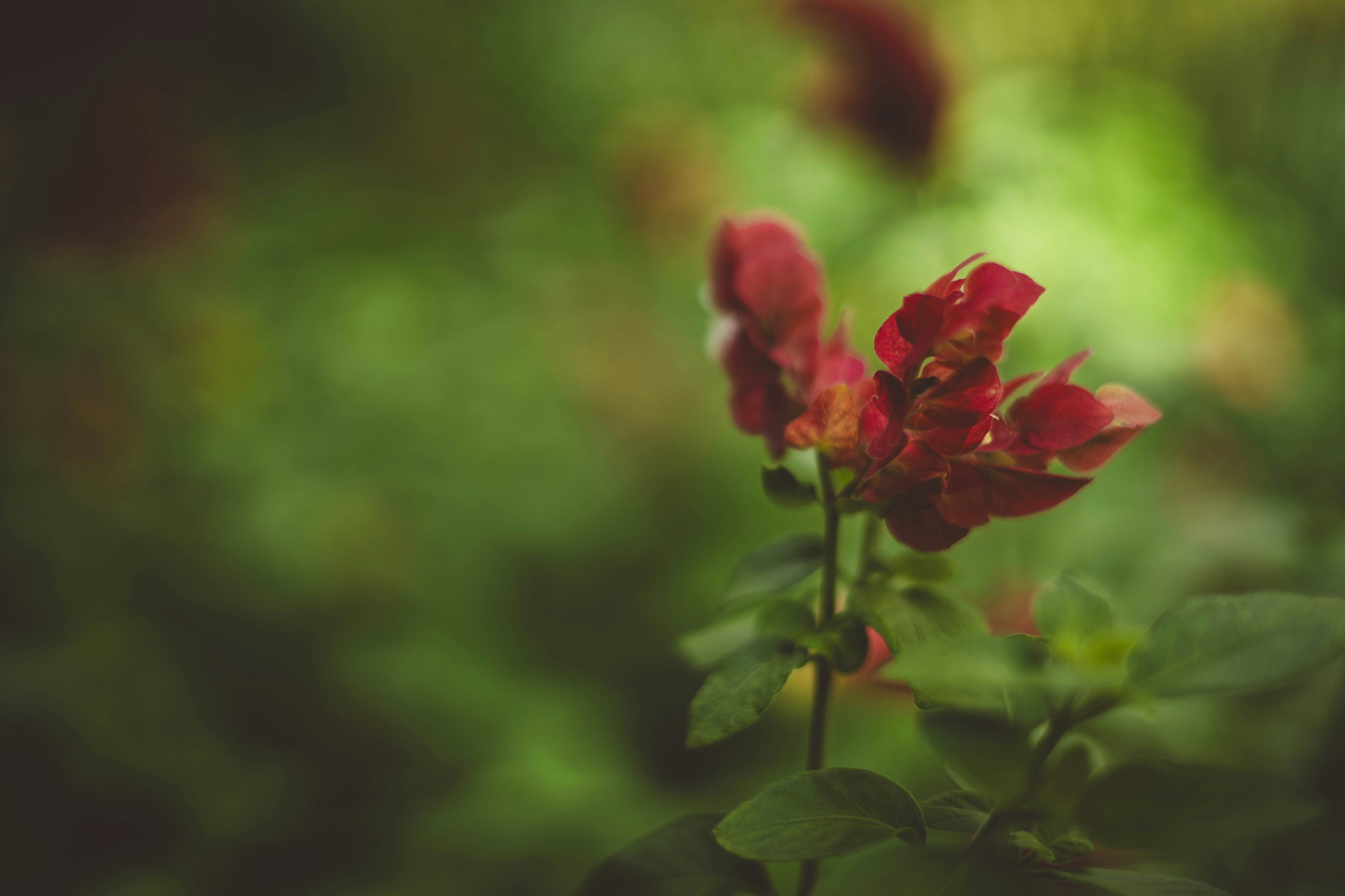 Photo by rrodriguesim