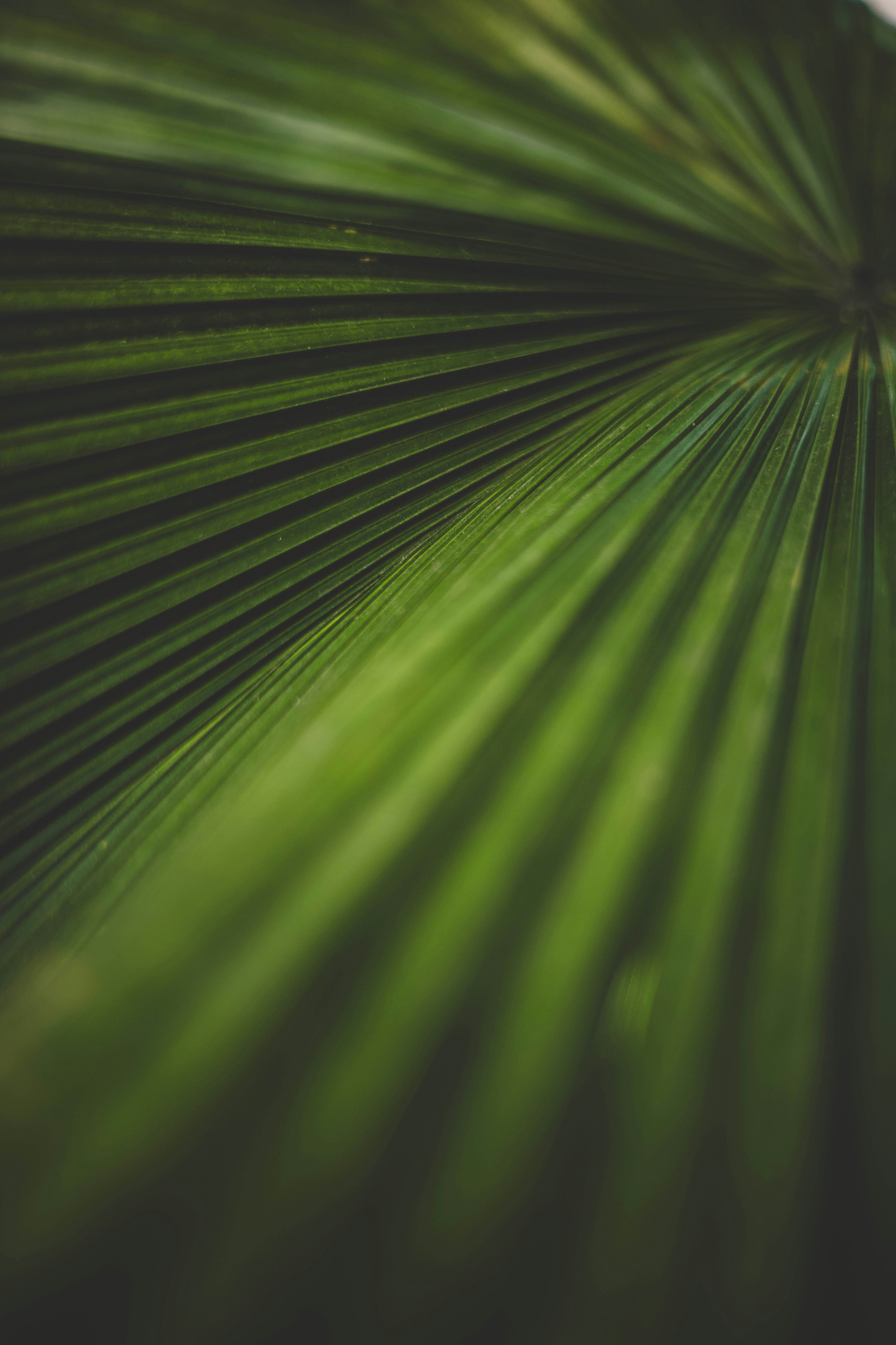 Photo by rrodriguesim