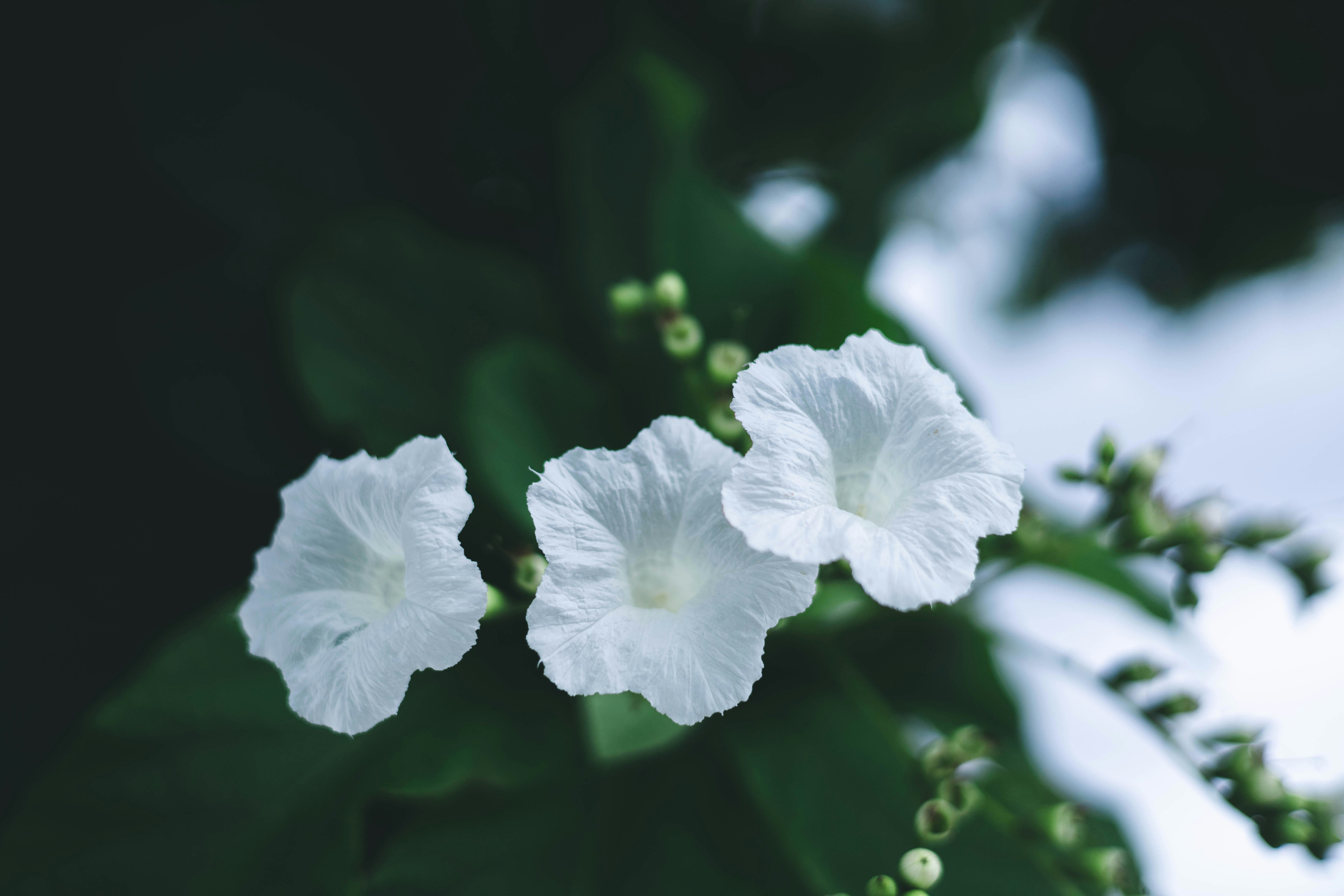 Photo by rrodriguesim