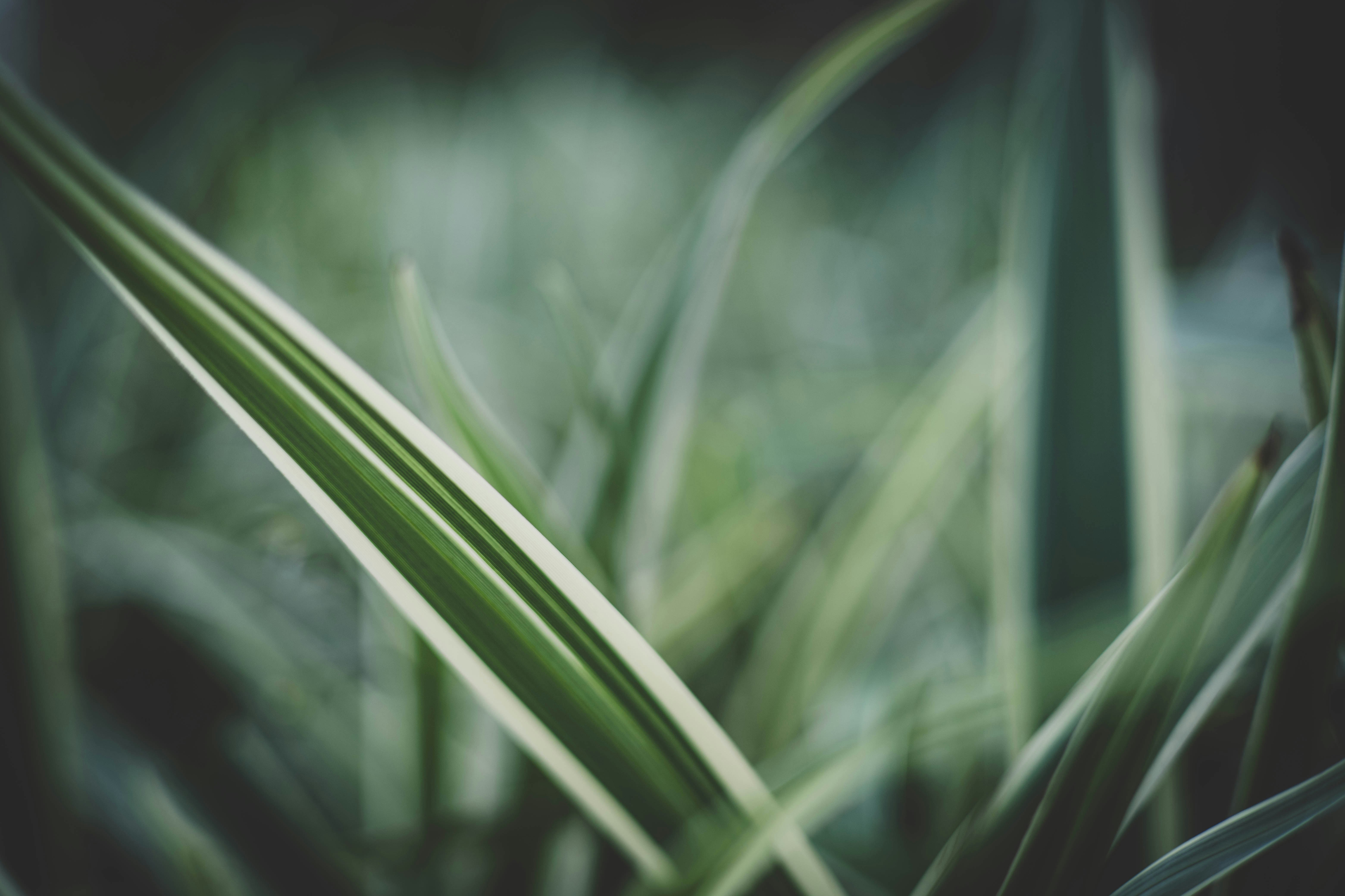 Photo by rrodriguesim