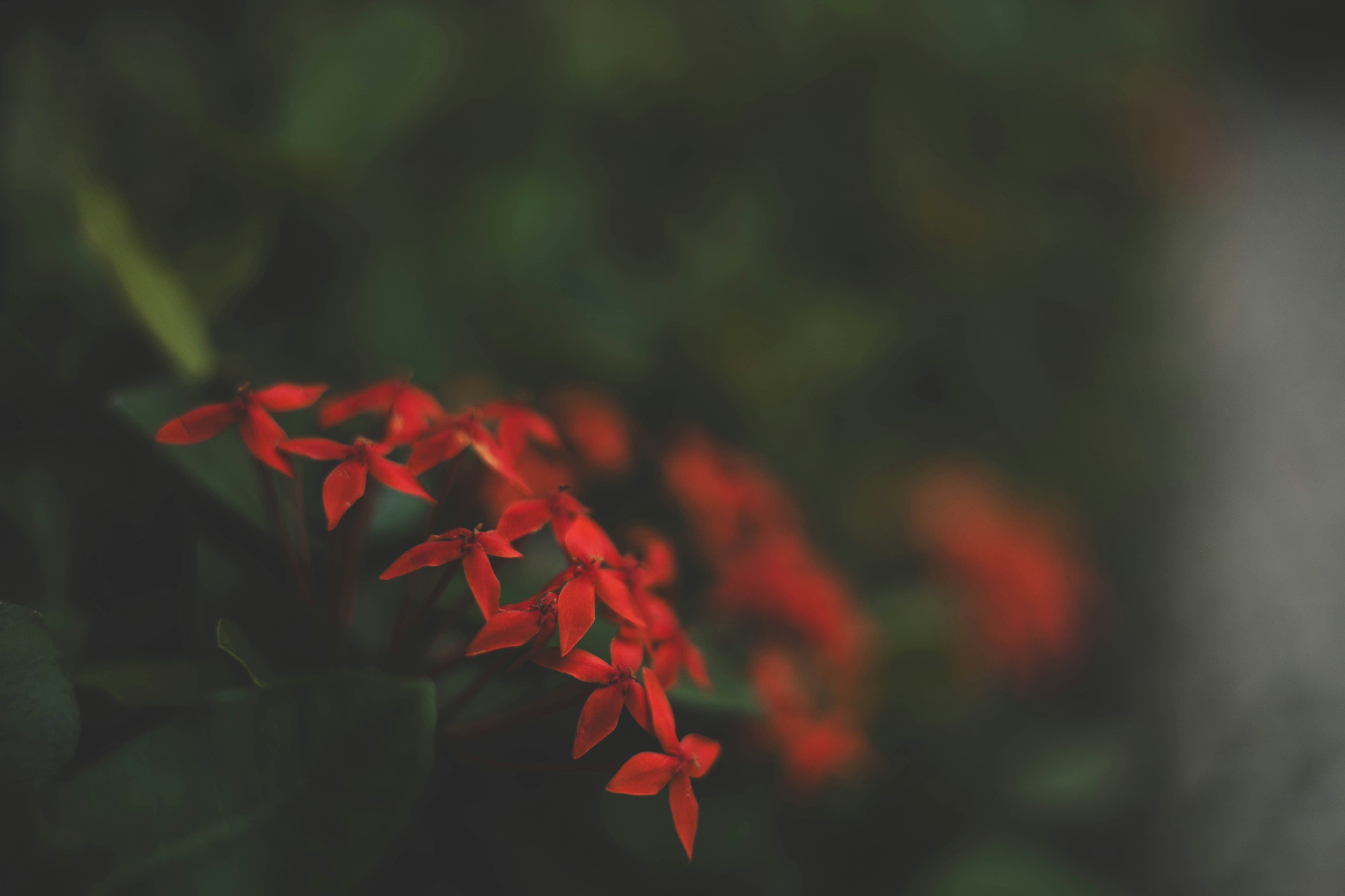 Photo by rrodriguesim