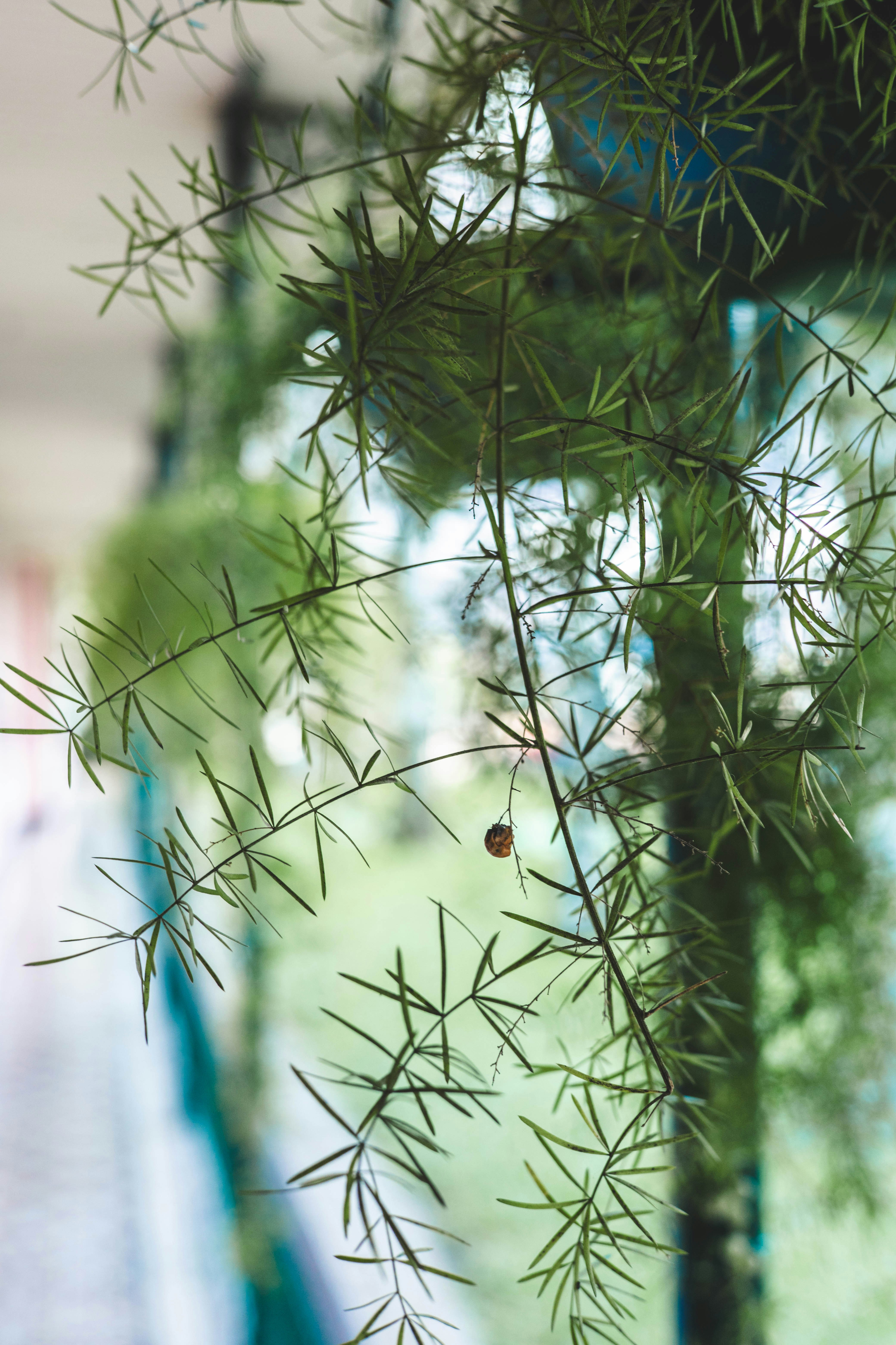 Photo by rrodriguesim