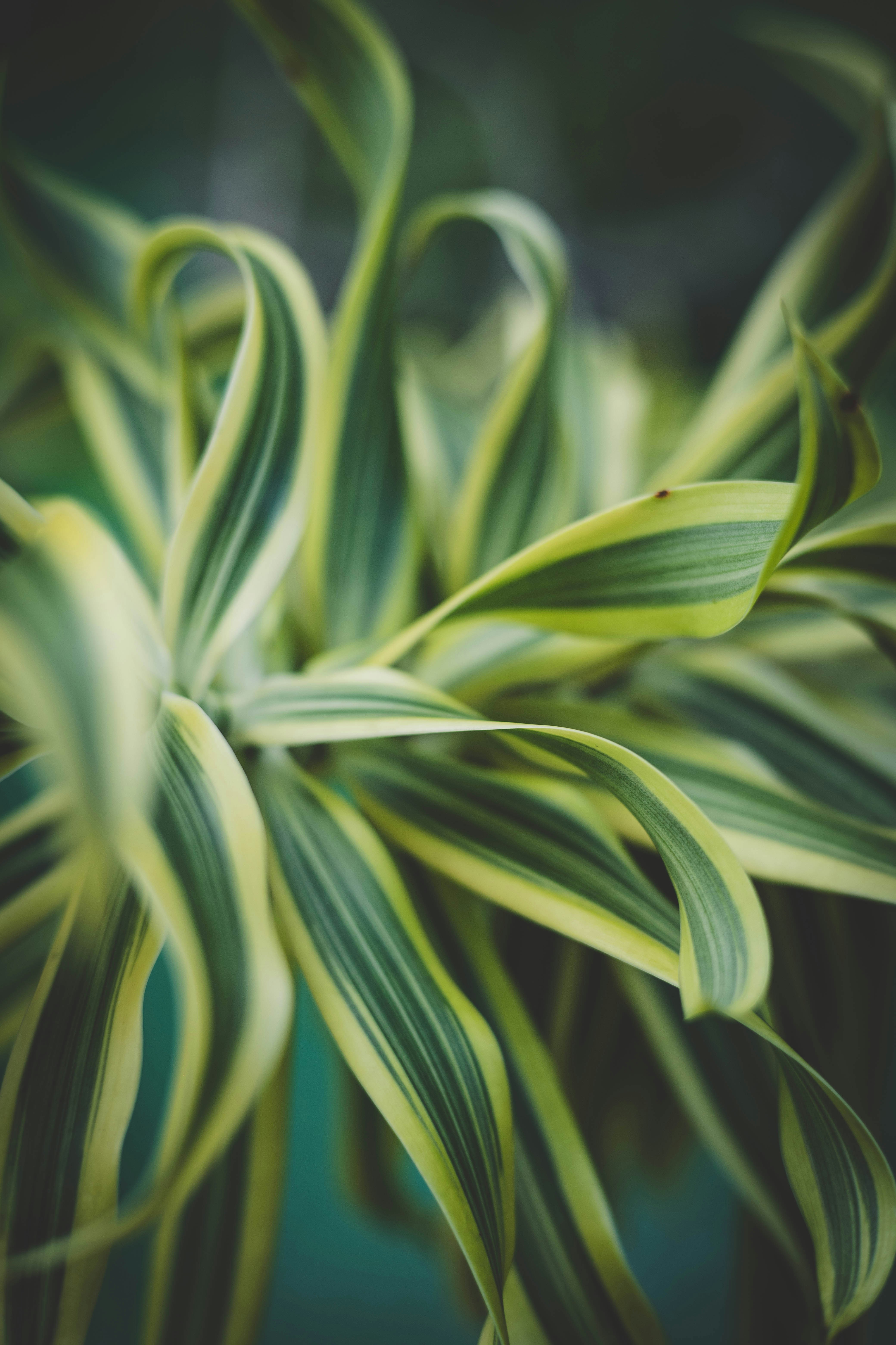 Photo by rrodriguesim