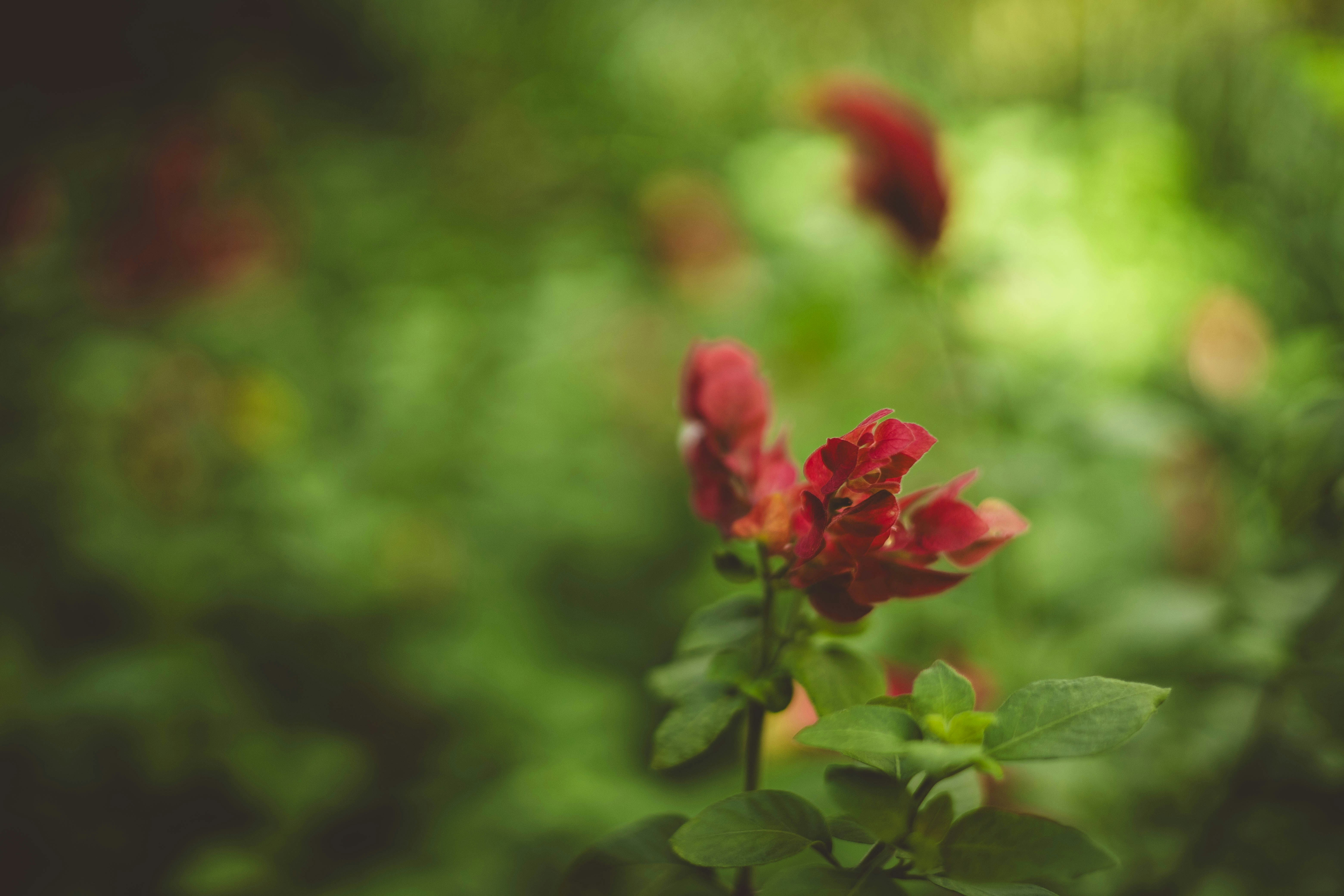 Photo by rrodriguesim