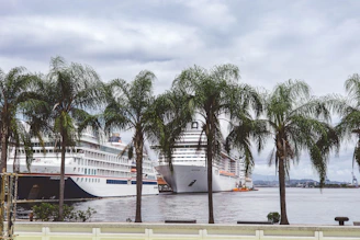 Cruise ships docked at a harbor with palm trees.