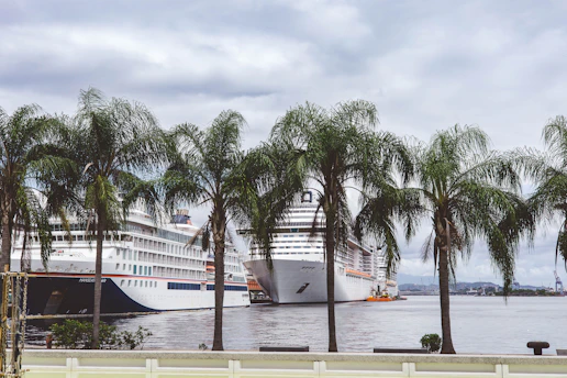 Cruise ships docked at a harbor with palm trees.