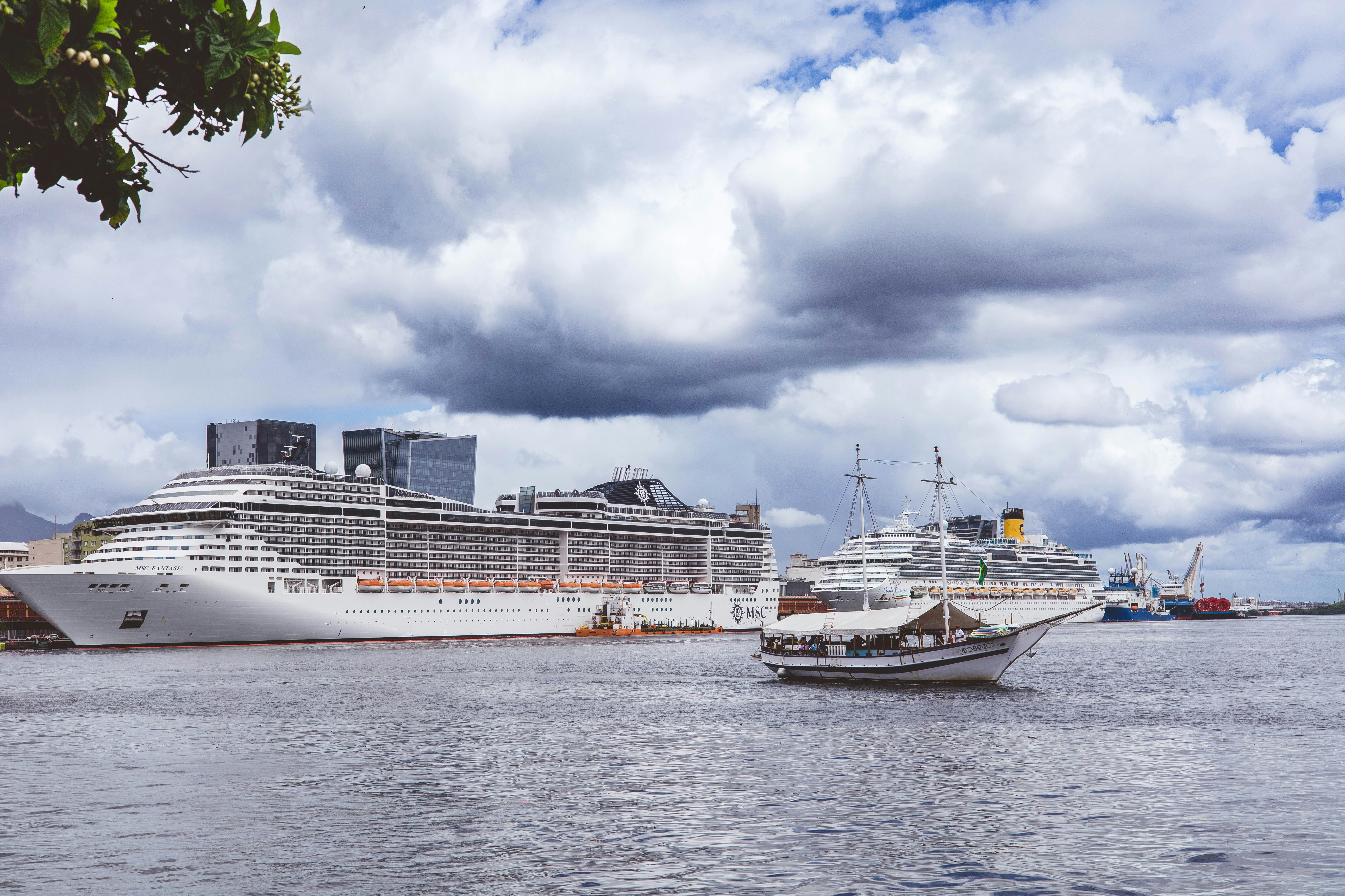 Two cruise ships docked in a harbor under cloudy skies