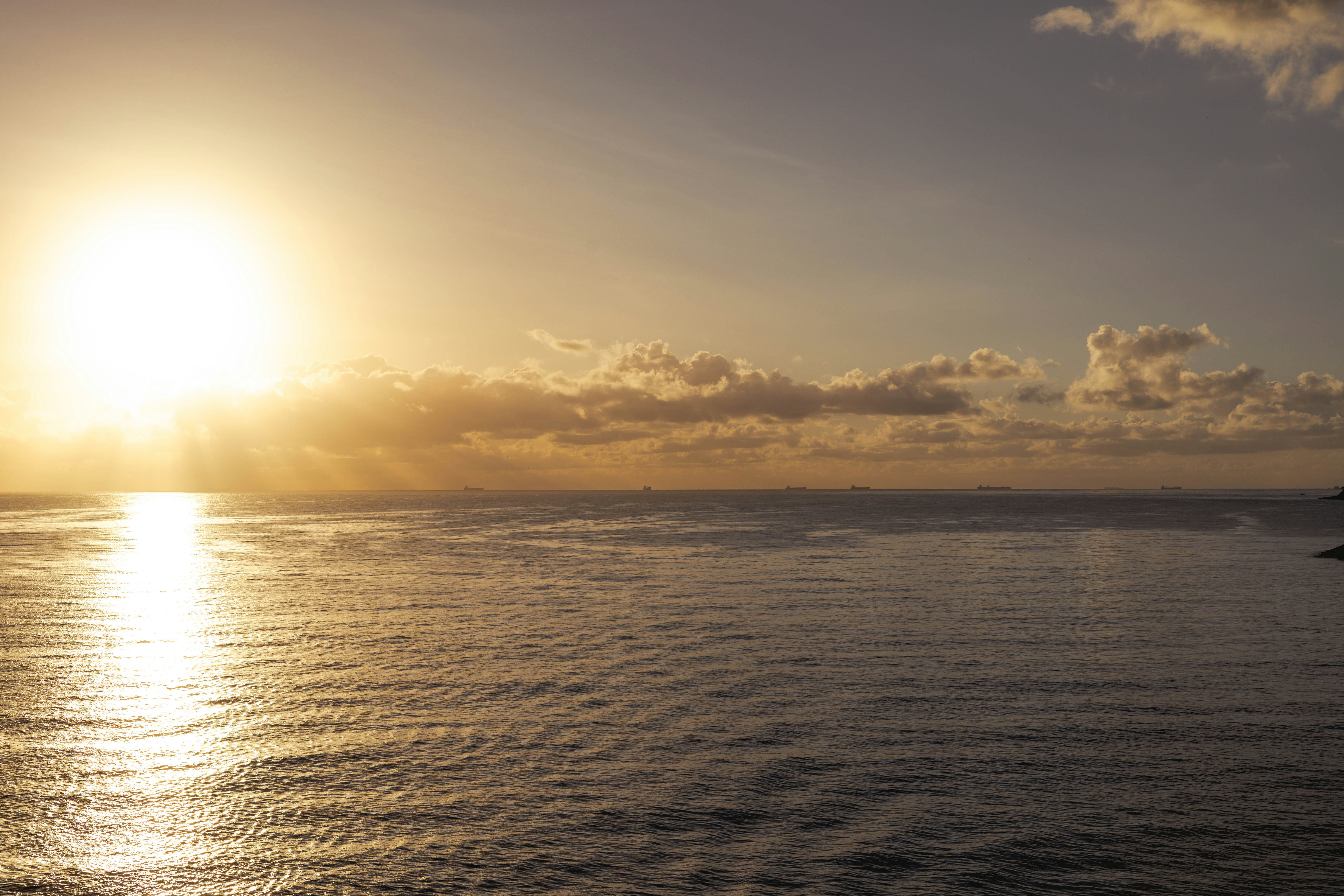 Photo by rrodriguesim