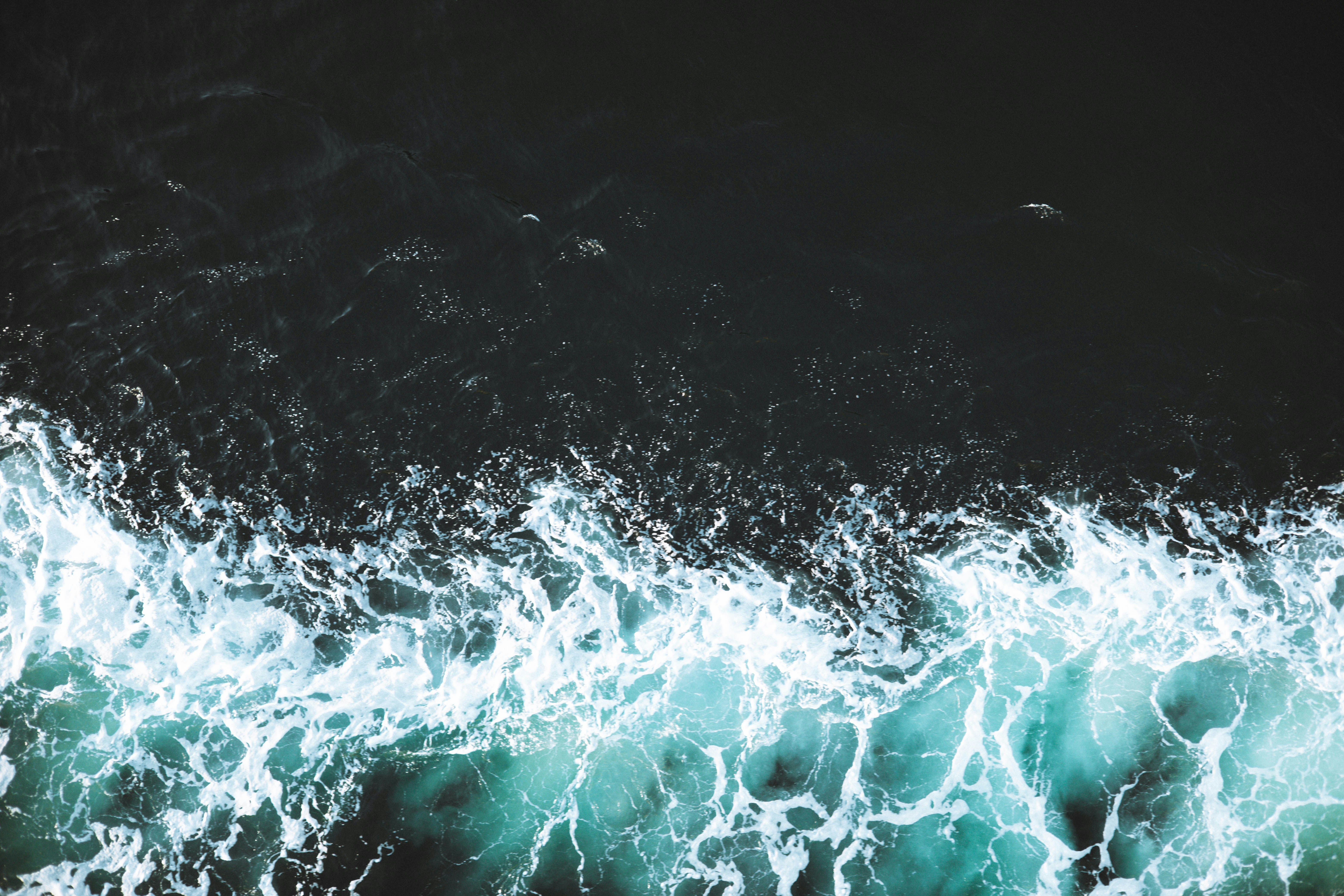 Photo by rrodriguesim
