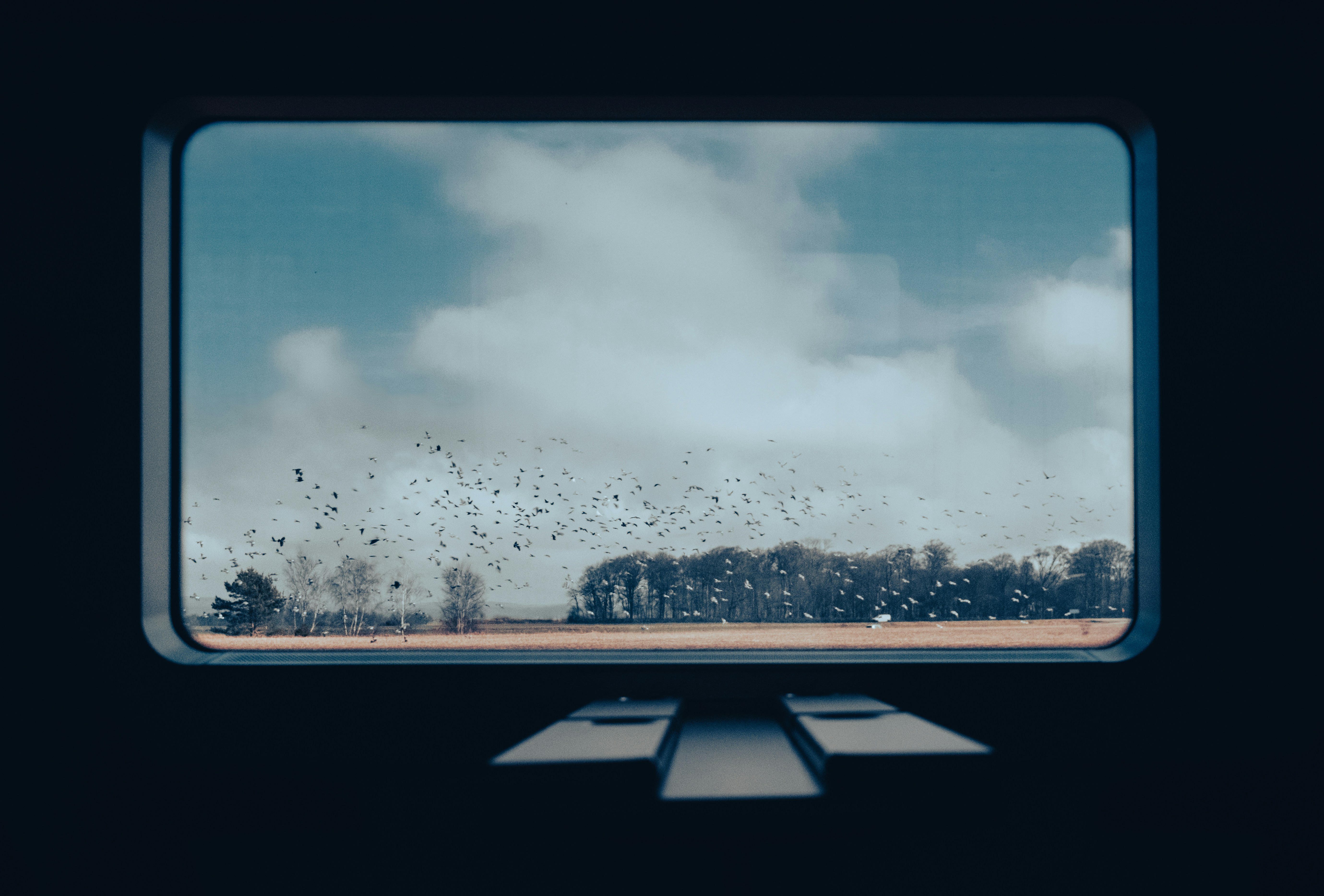 Waymo : une croissance exponentielle des courses de robotaxis