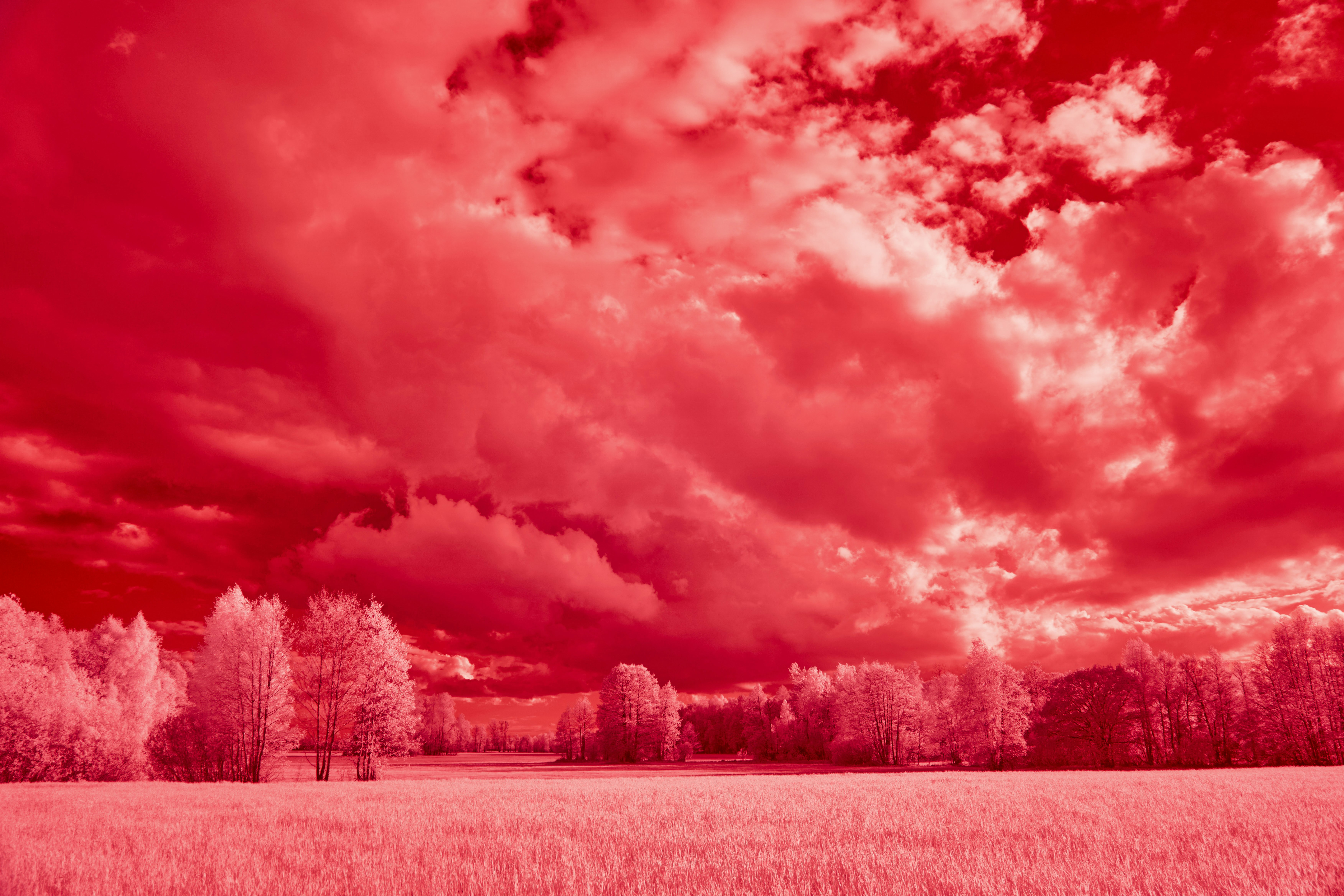 Photo by wolfgang_hasselmann