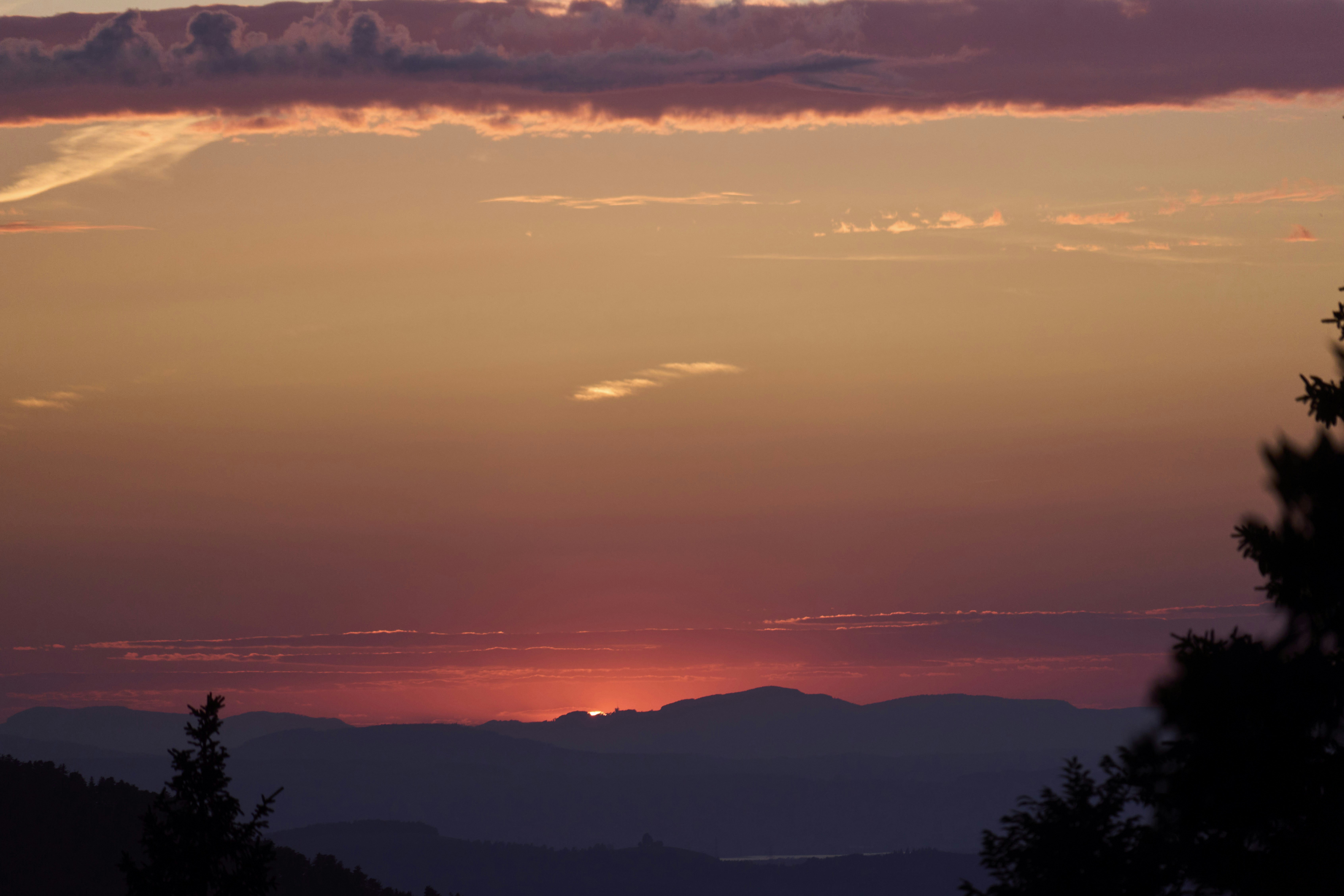 Photo by wolfgang_hasselmann