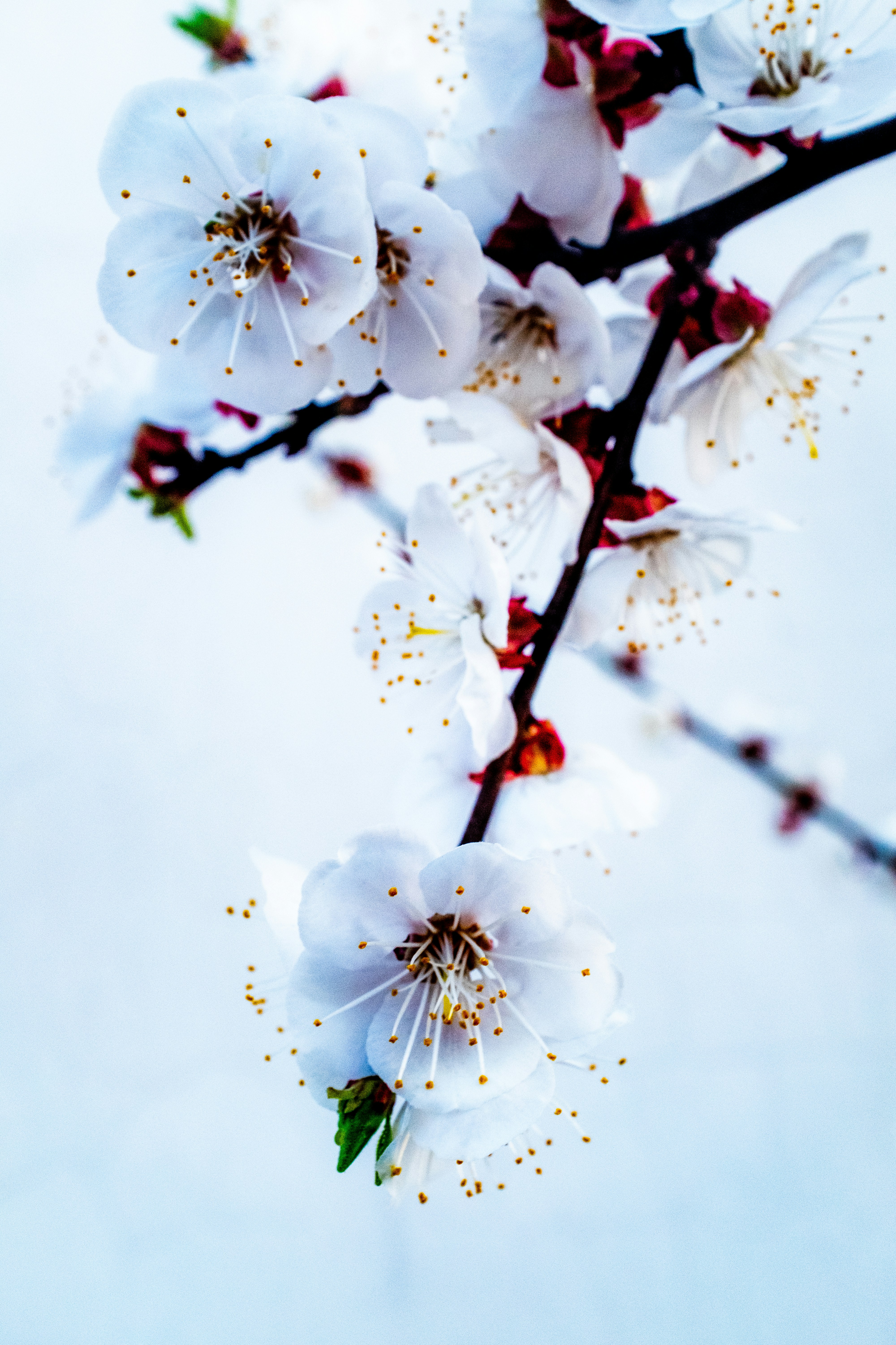 Photo by jimmy__liu