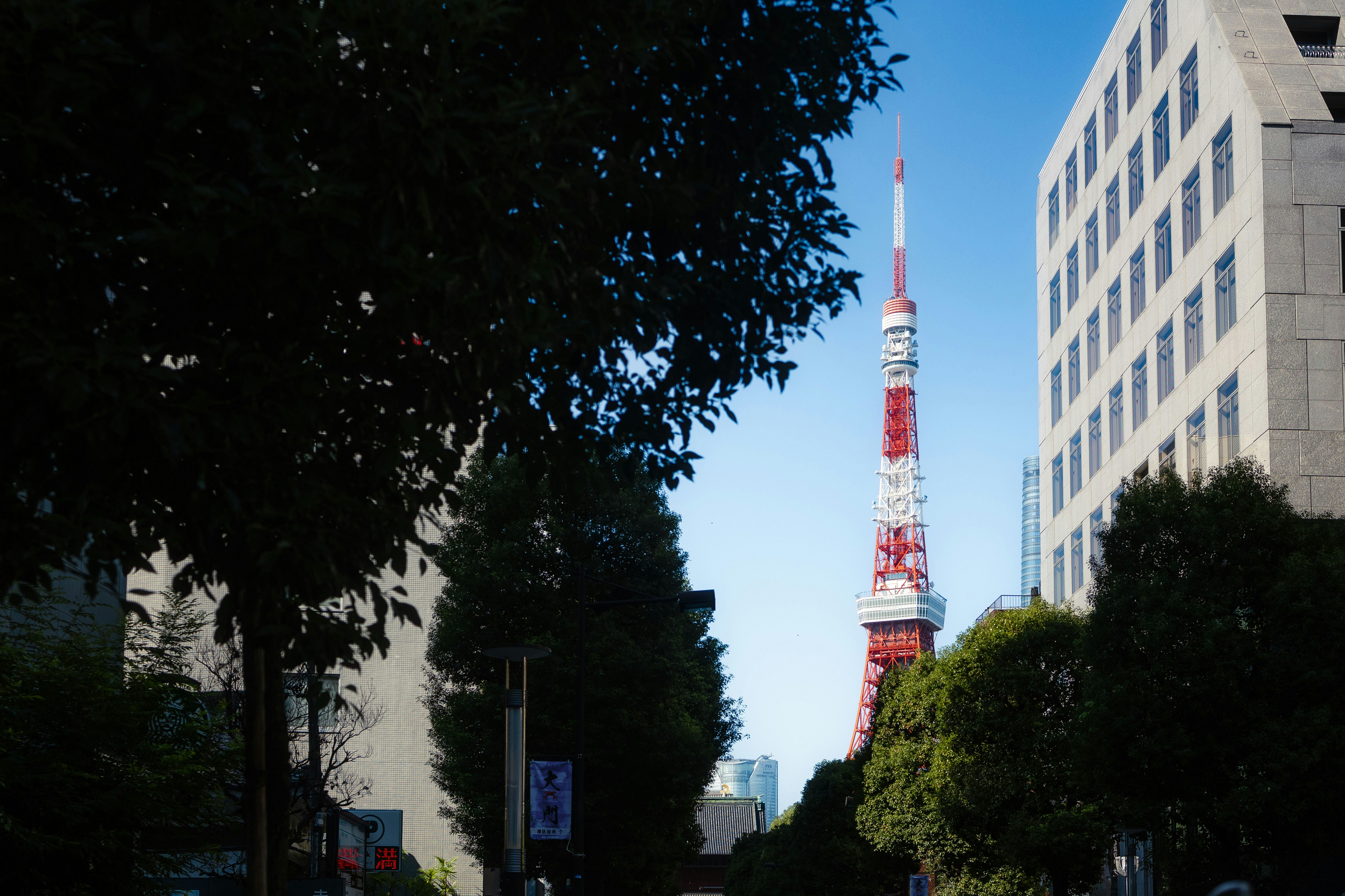 Tokyo tower seen between trees and buildings