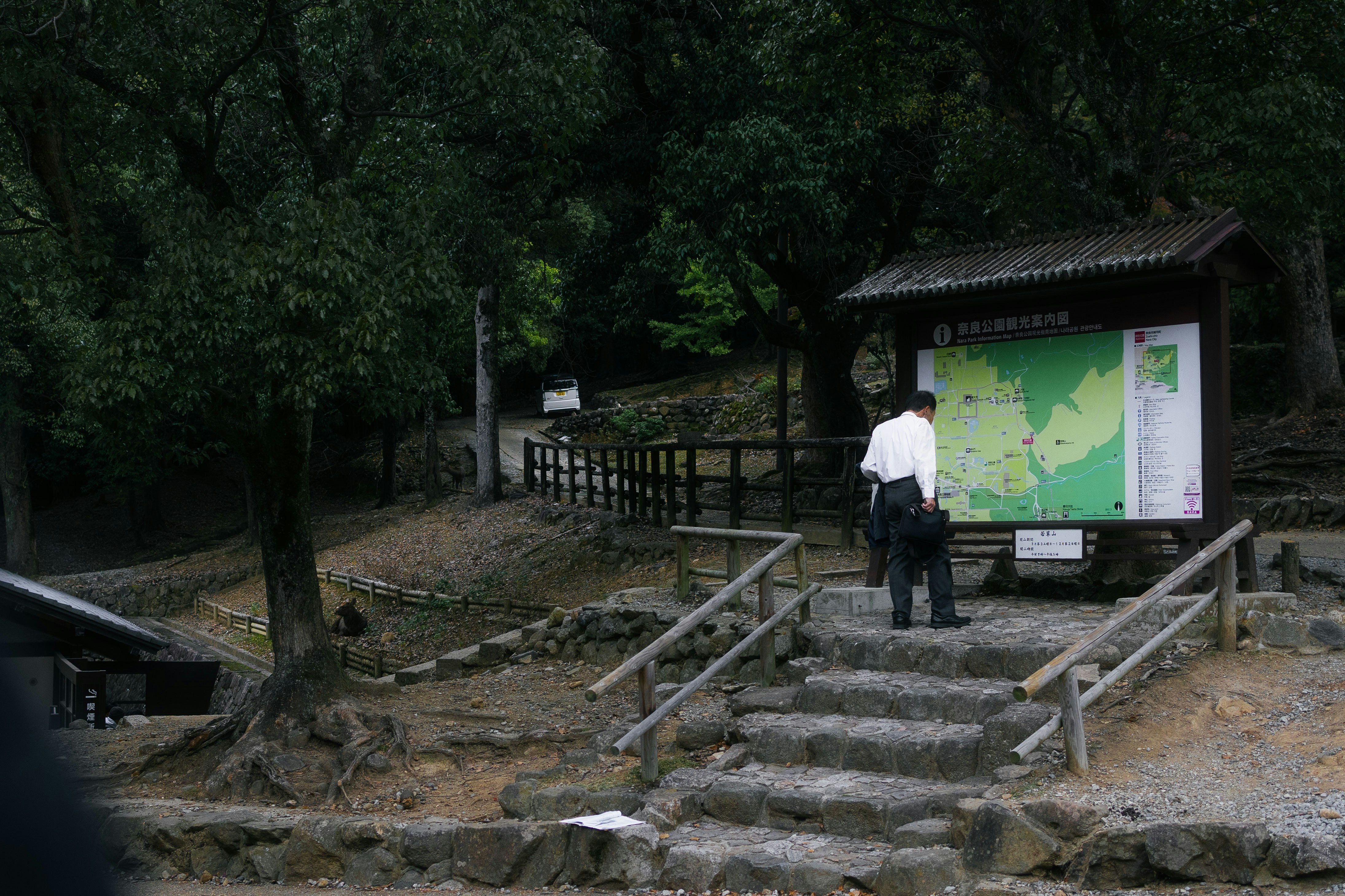 Nature Workshop in Japan