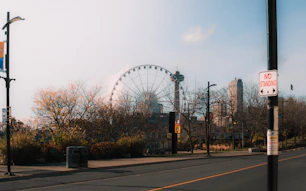 Ferris wheel and buildings seen through trees