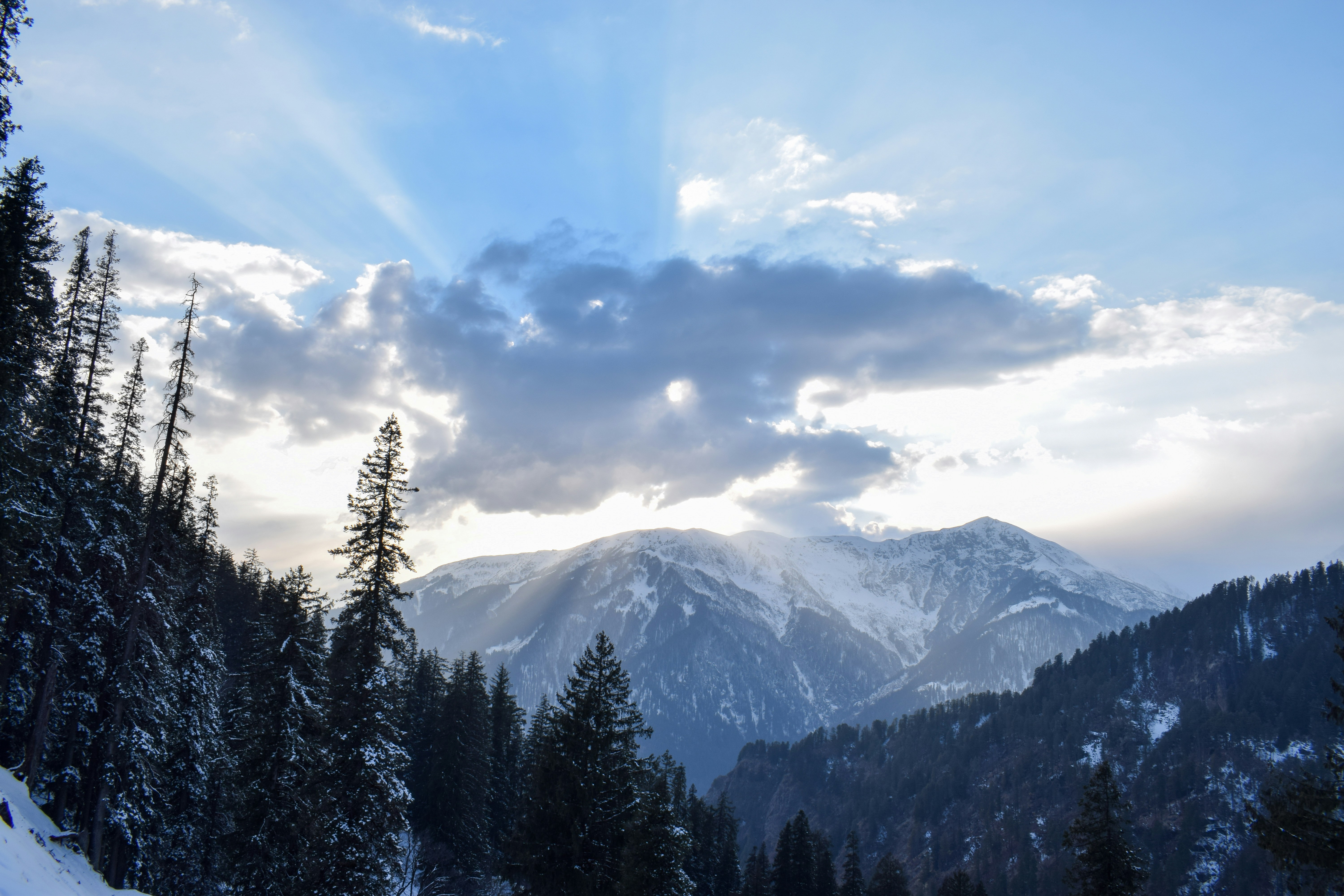 Photo by eshaverma2511