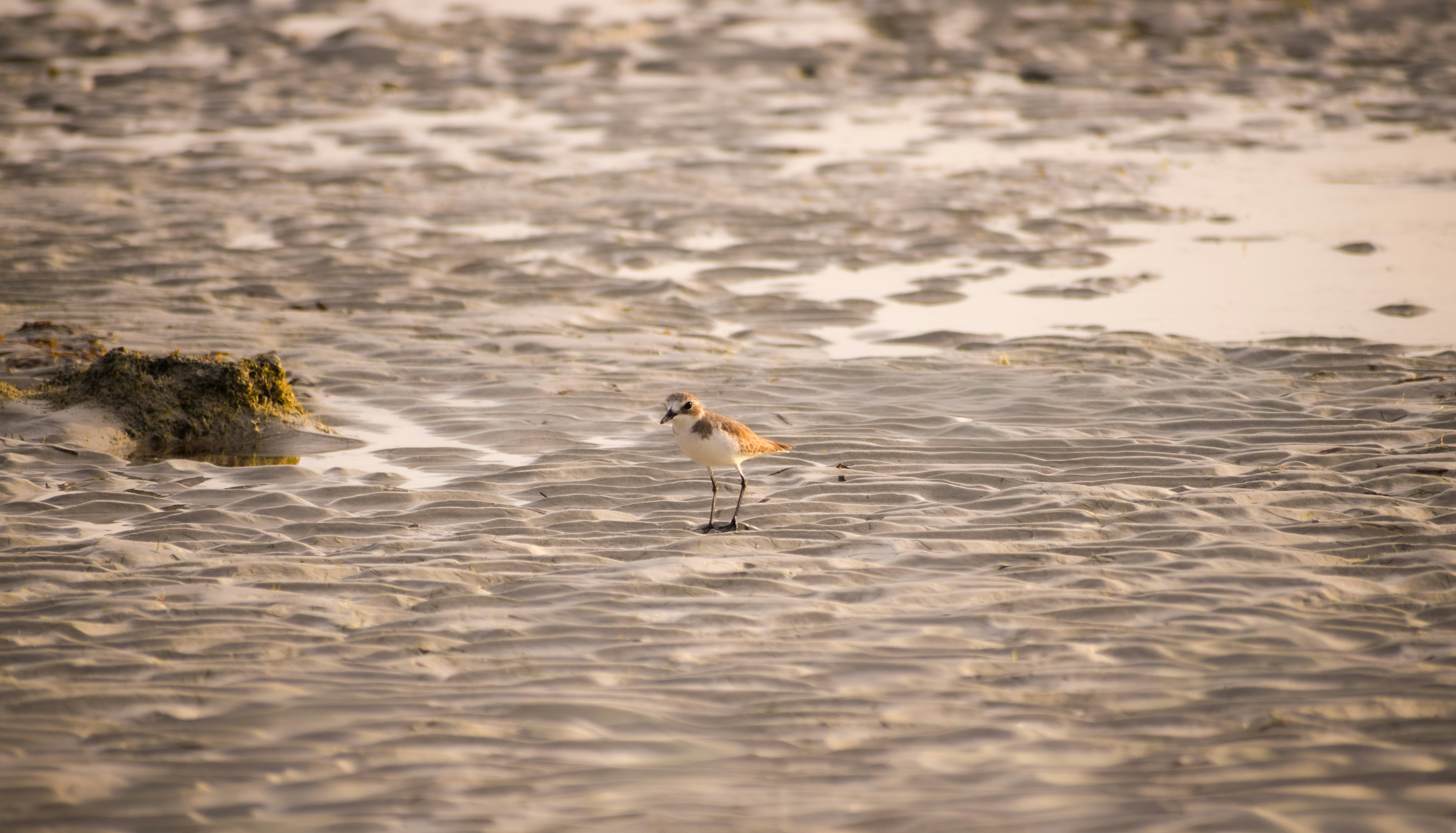 Photo by eshaverma2511