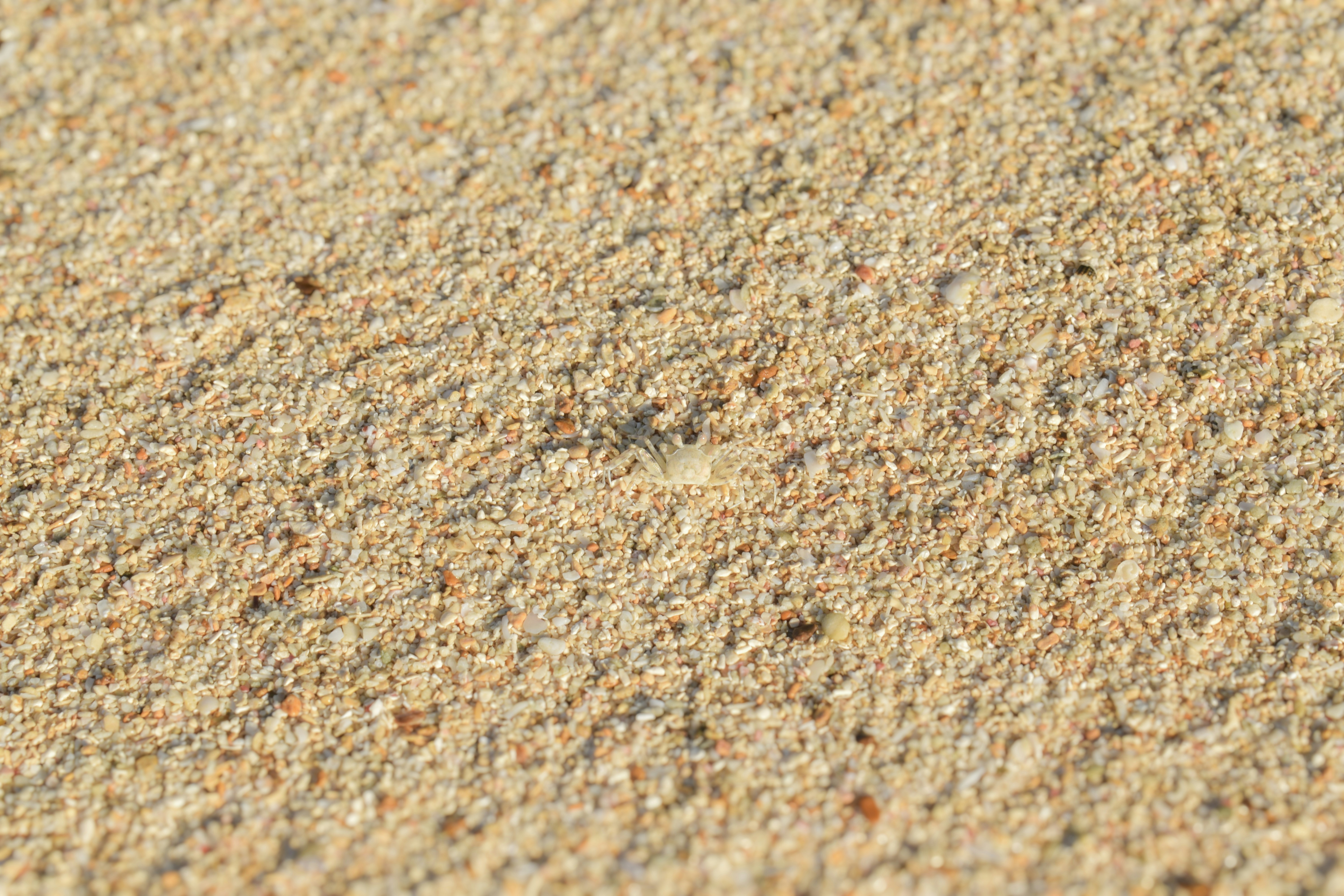 Photo by eshaverma2511