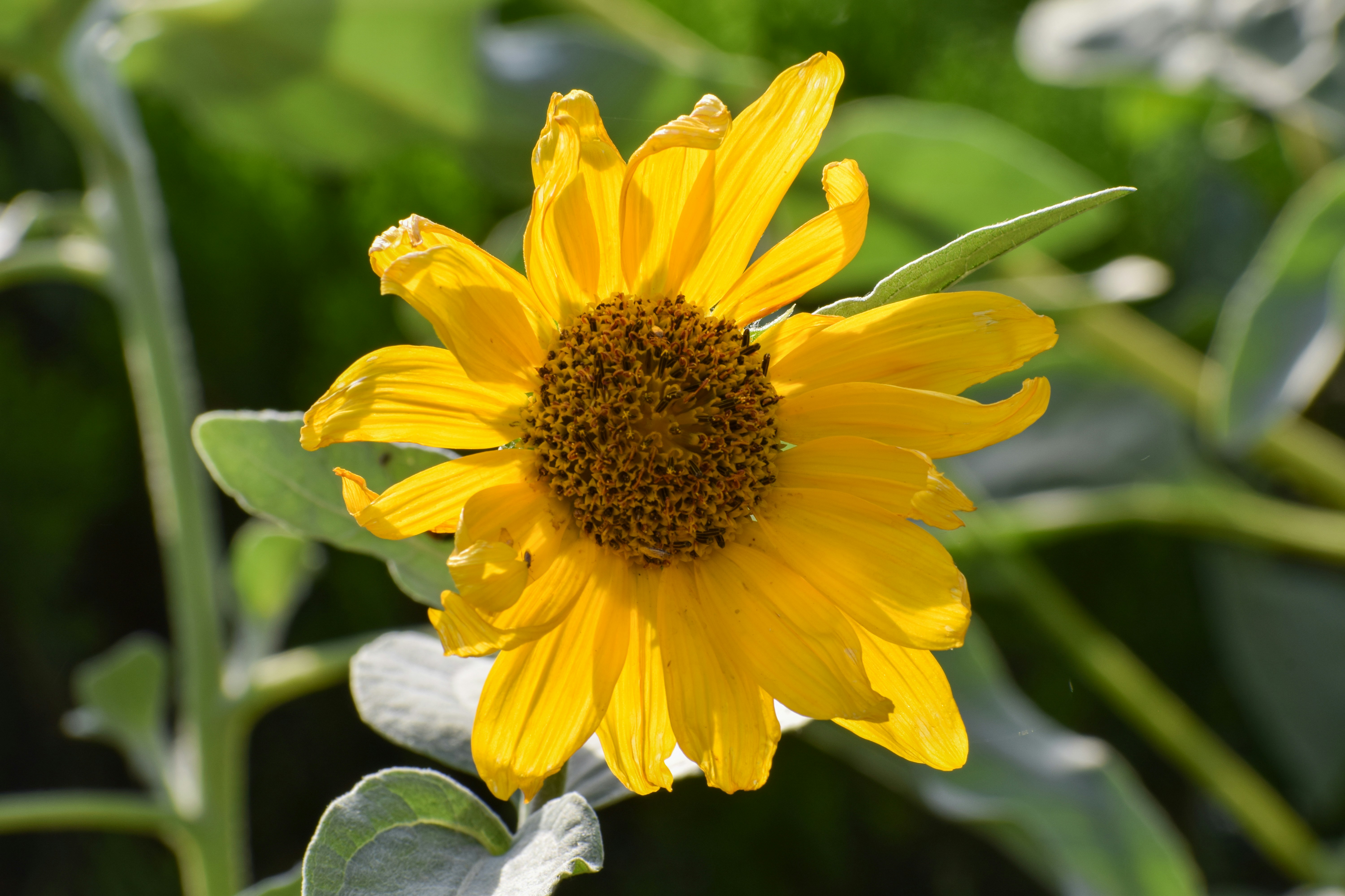 Photo by eshaverma2511