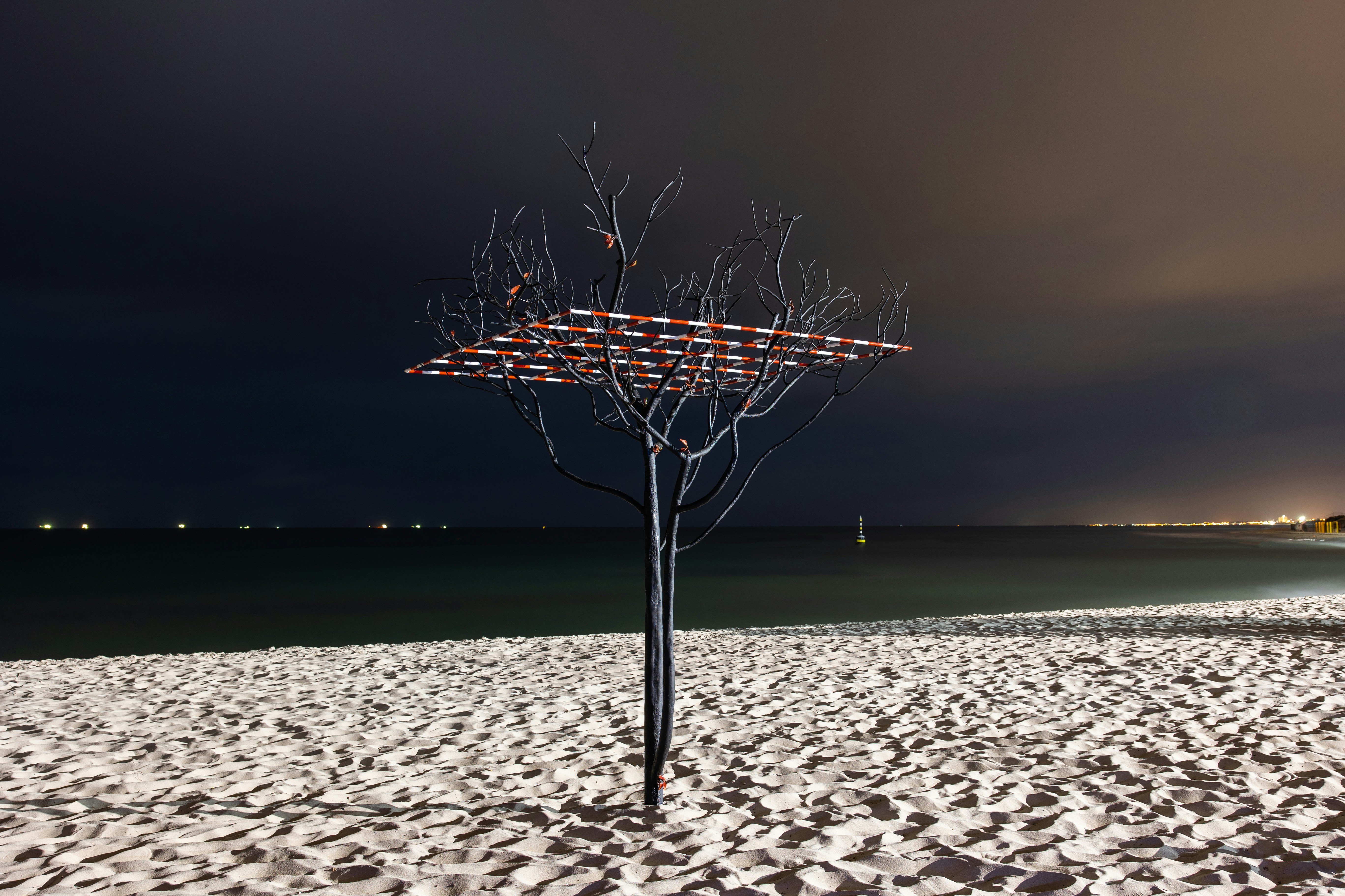 Bare tree sculpture on a sandy beach at night