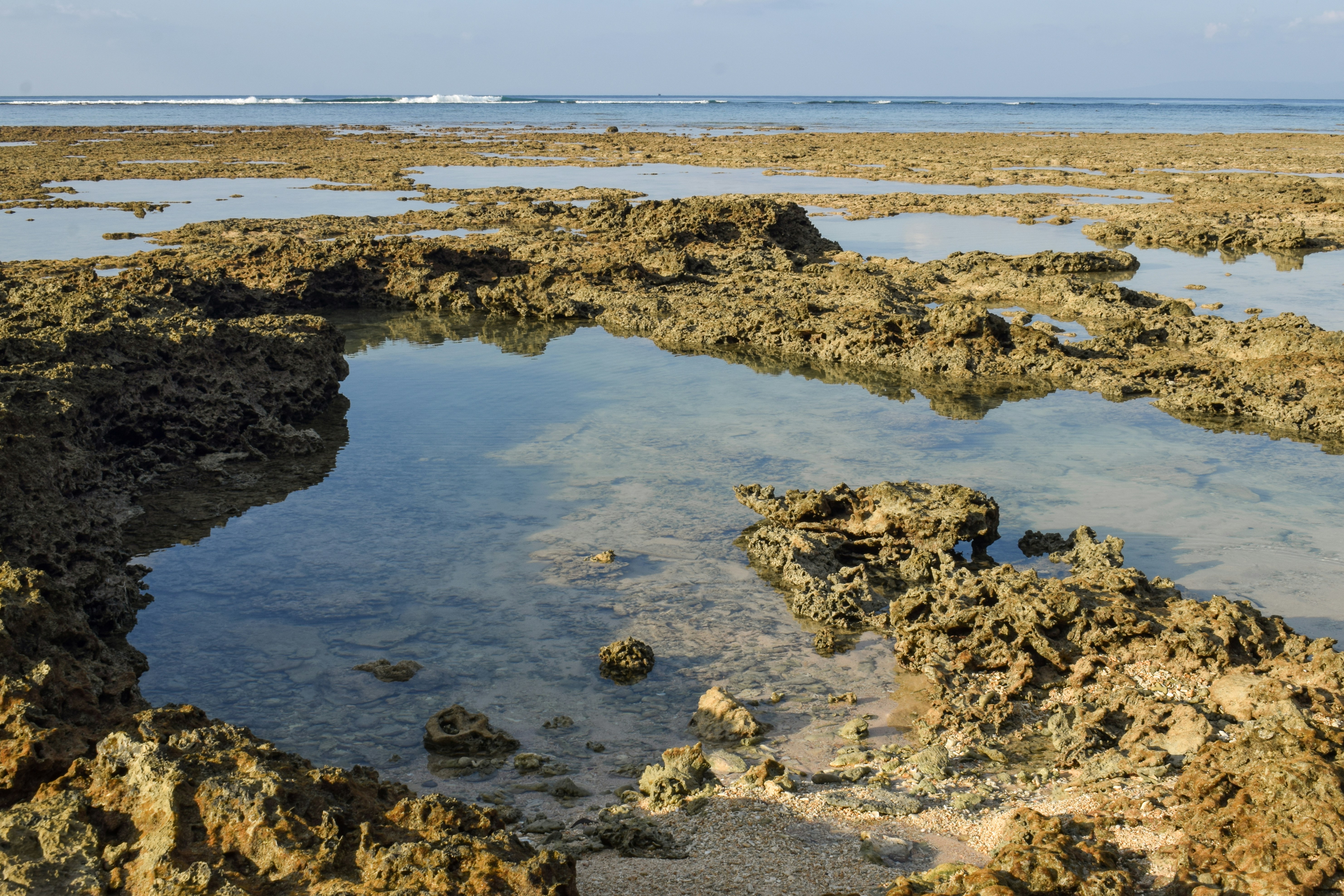 Shallow tide pools in rocky shoreline at low tide