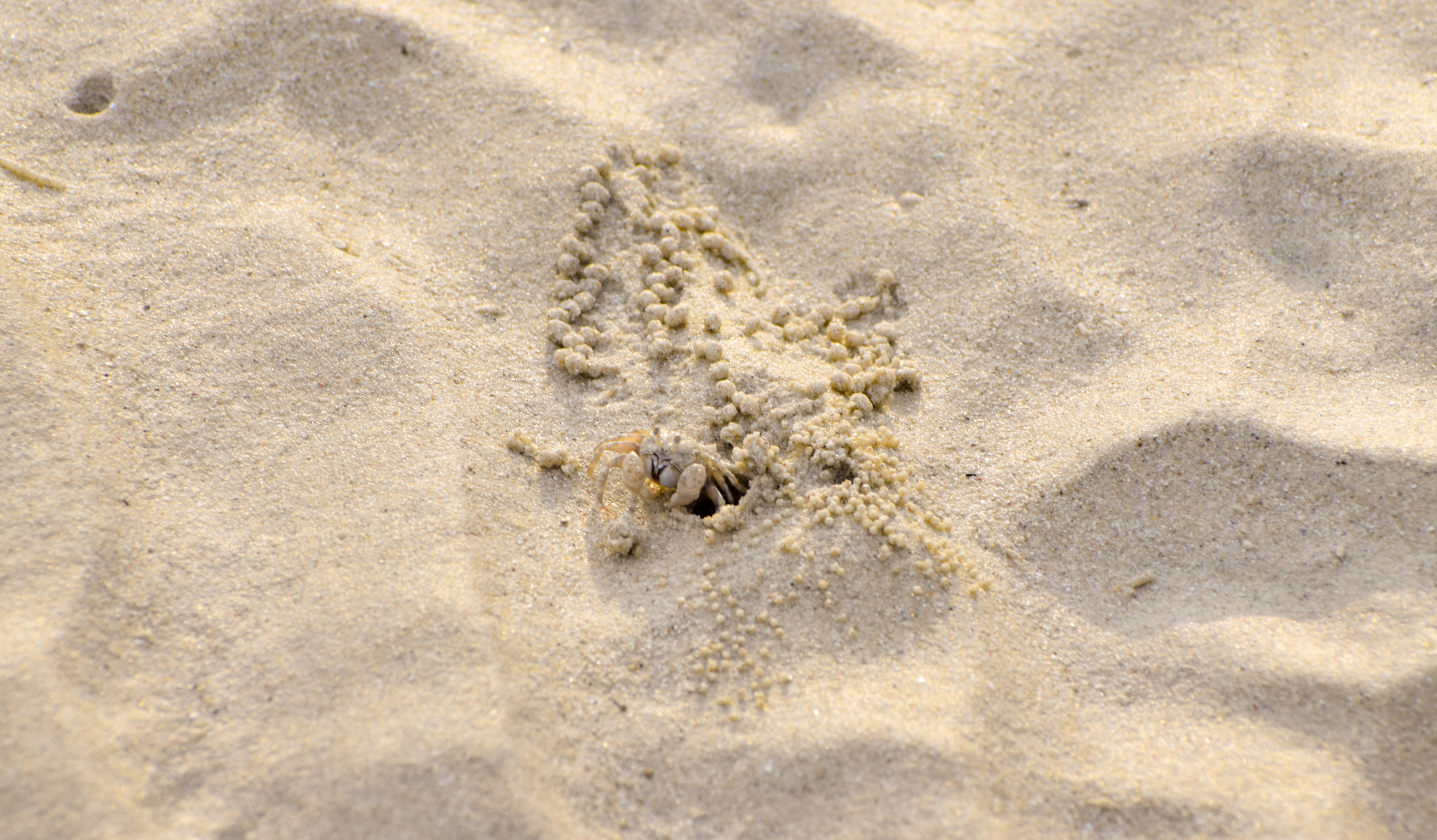 Photo by eshaverma2511