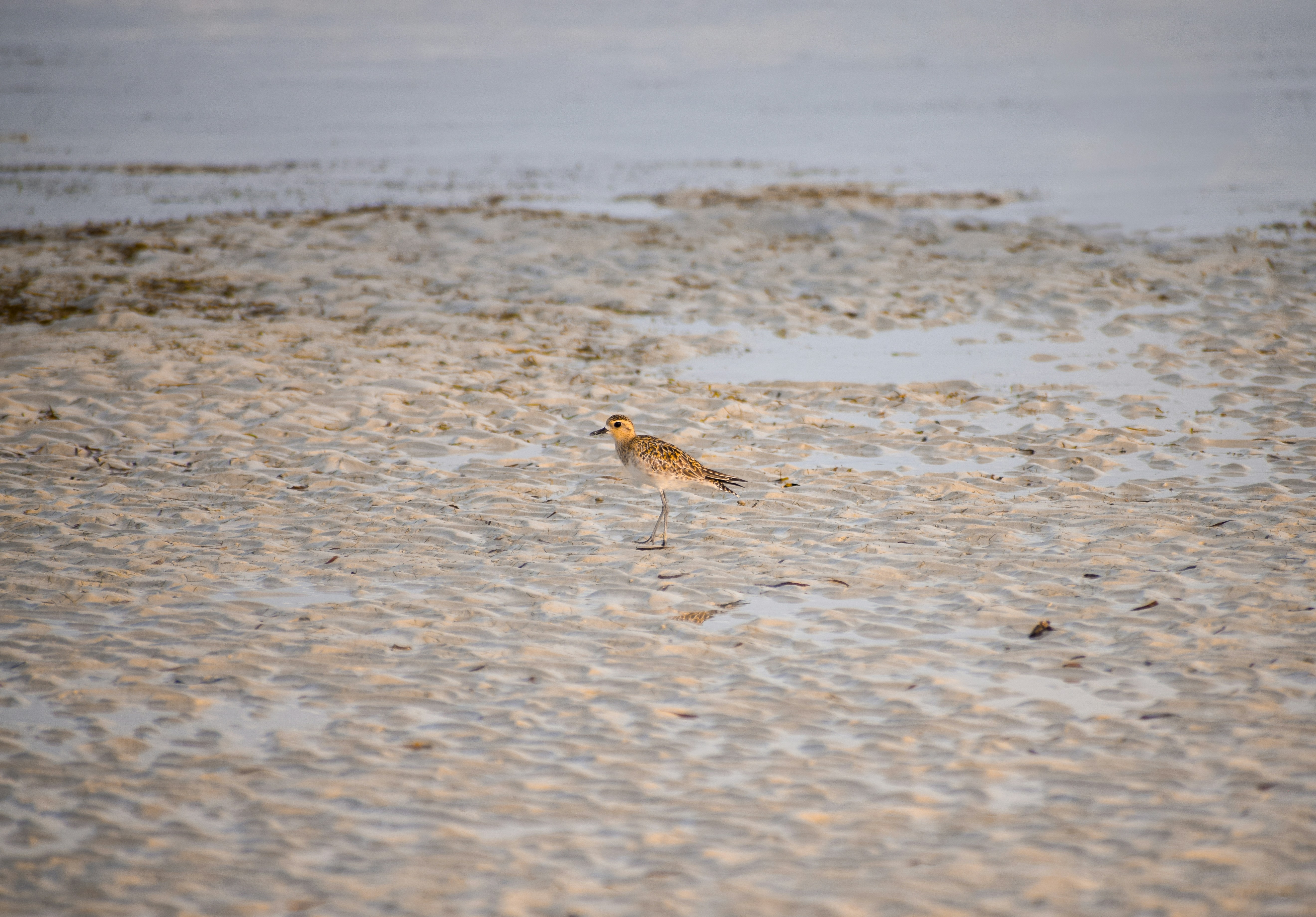 Photo by eshaverma2511