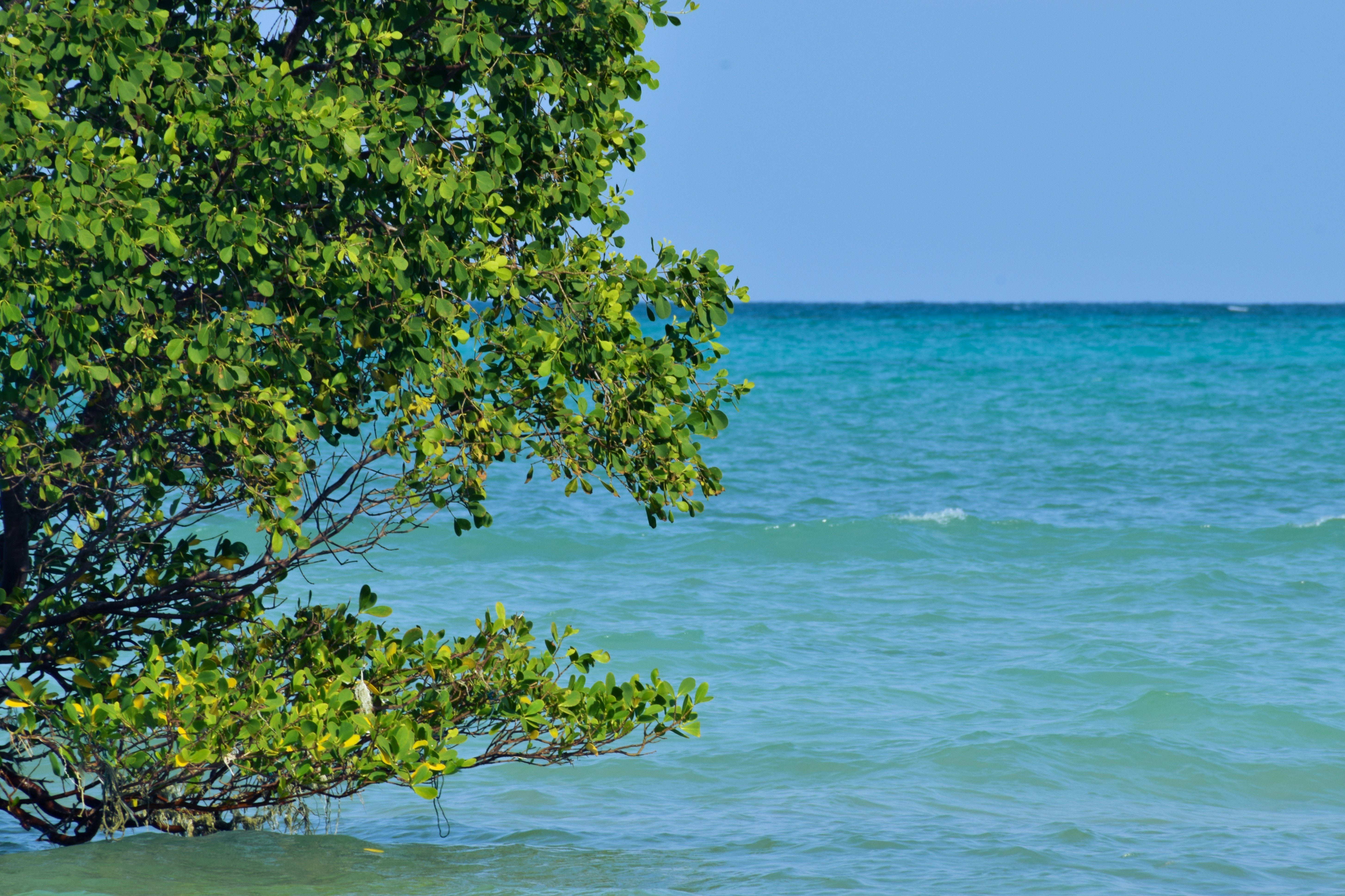 Photo by eshaverma2511