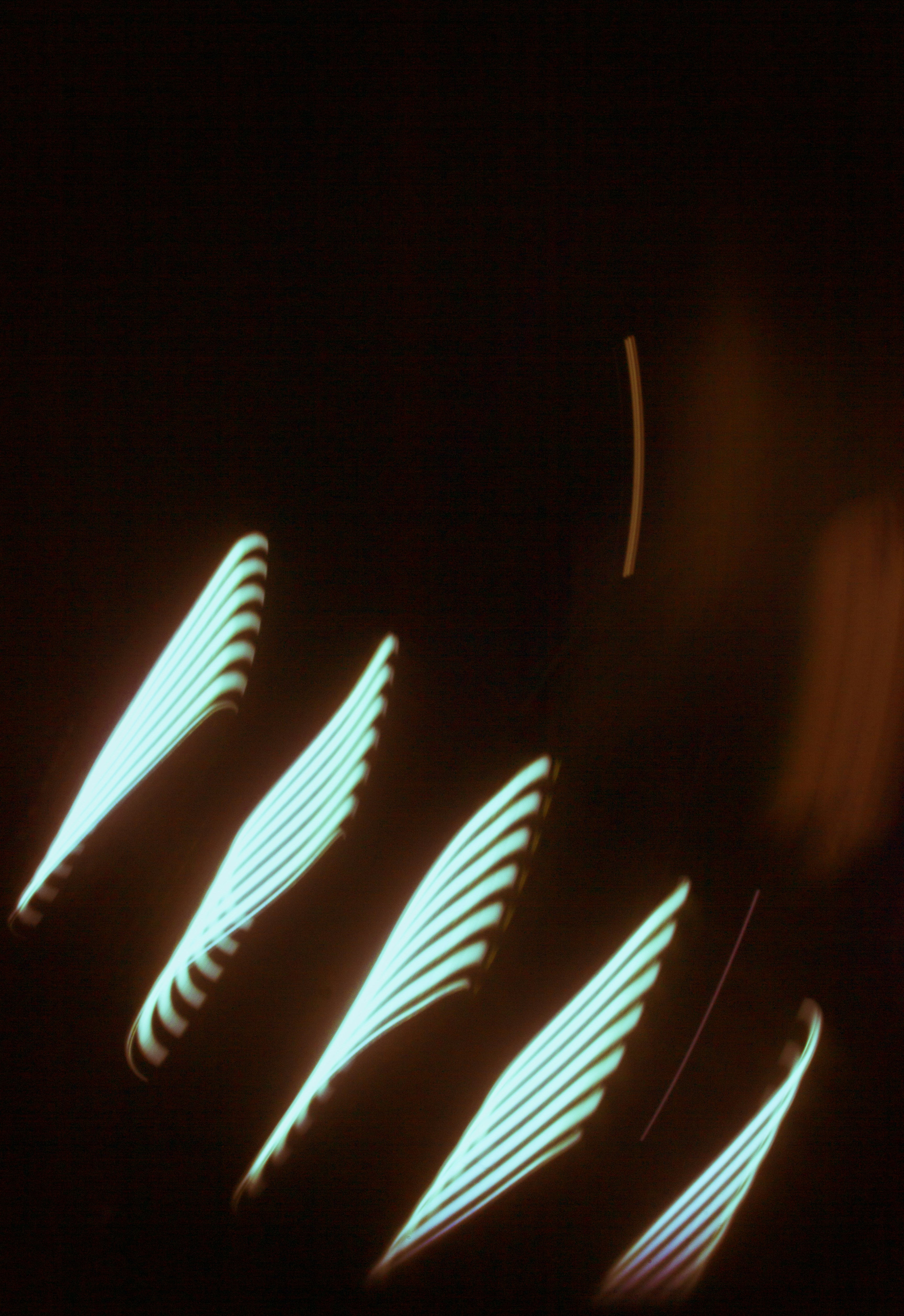 Photo by evan_marvell