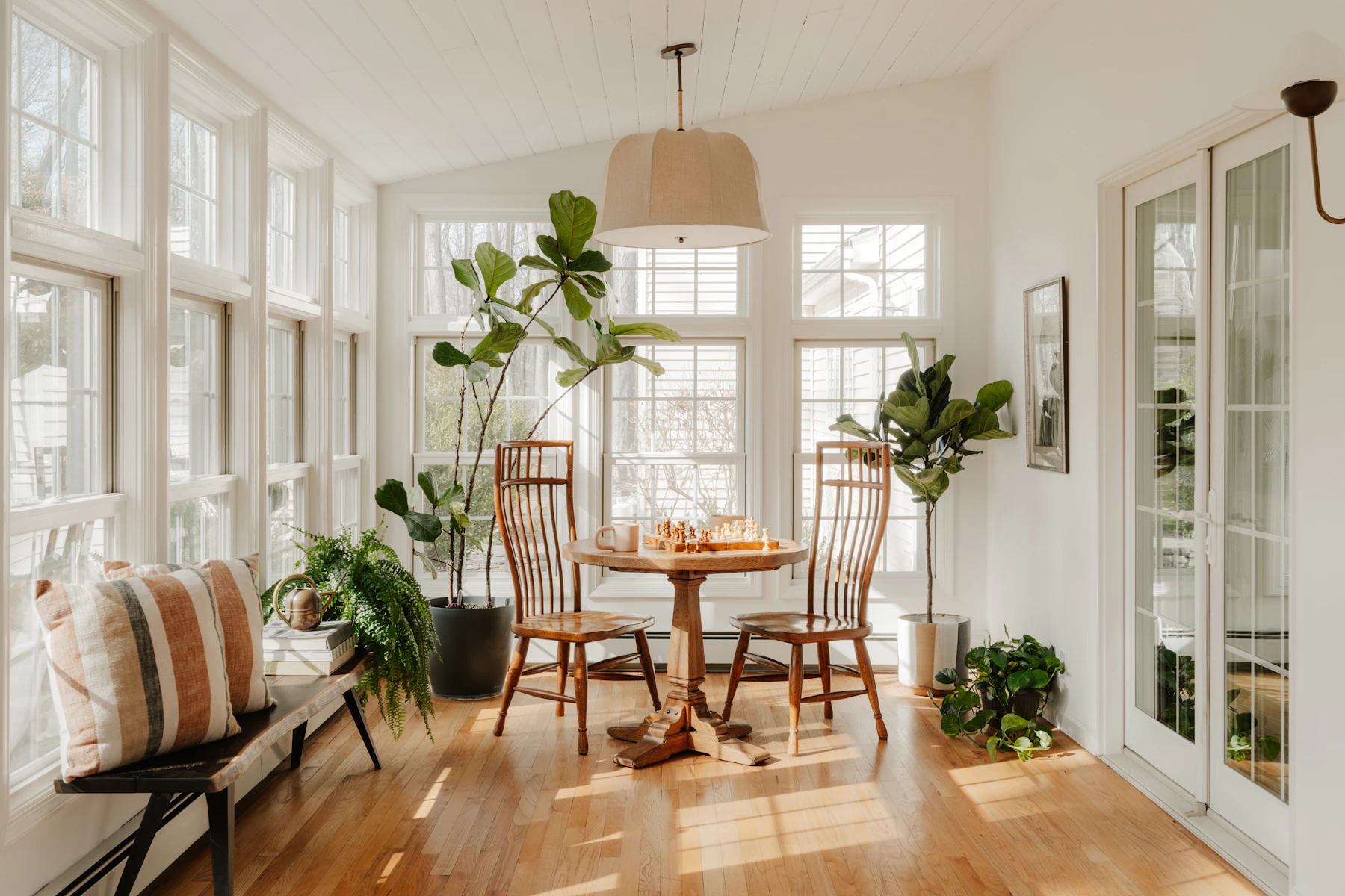 Comedor luminoso con plantas