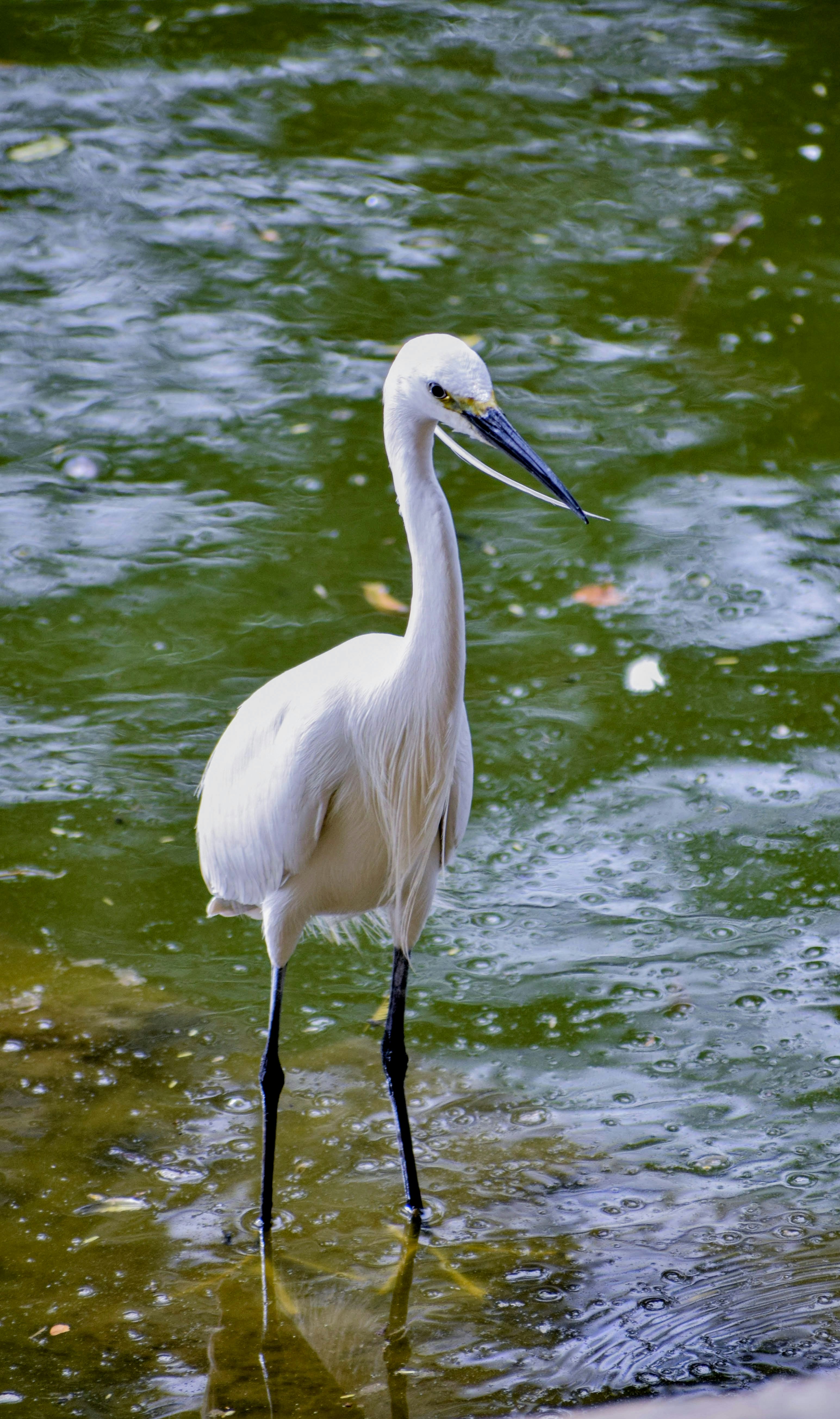 Photo by eshaverma2511