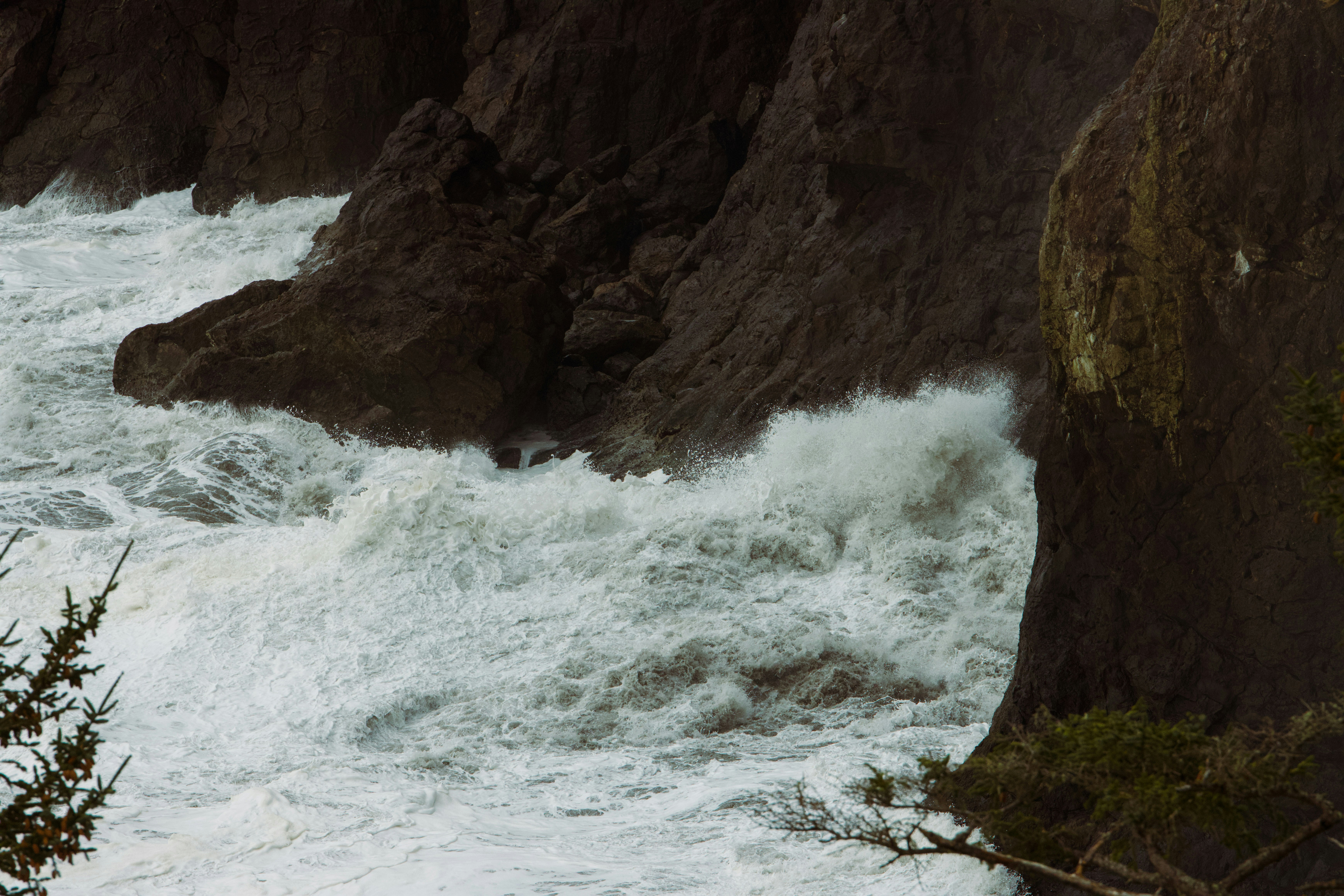 Photo by milochampoux3275