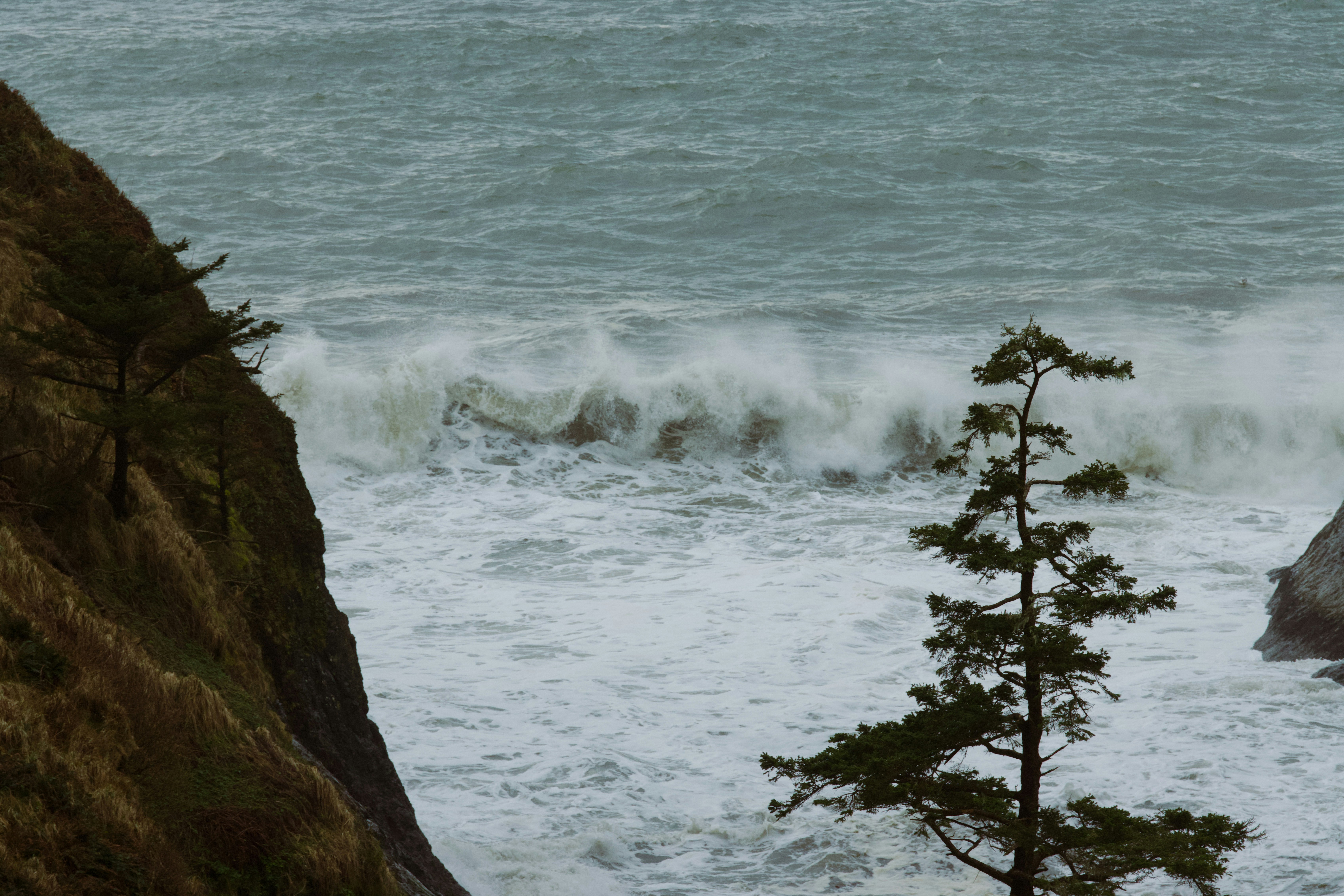 Photo by milochampoux3275