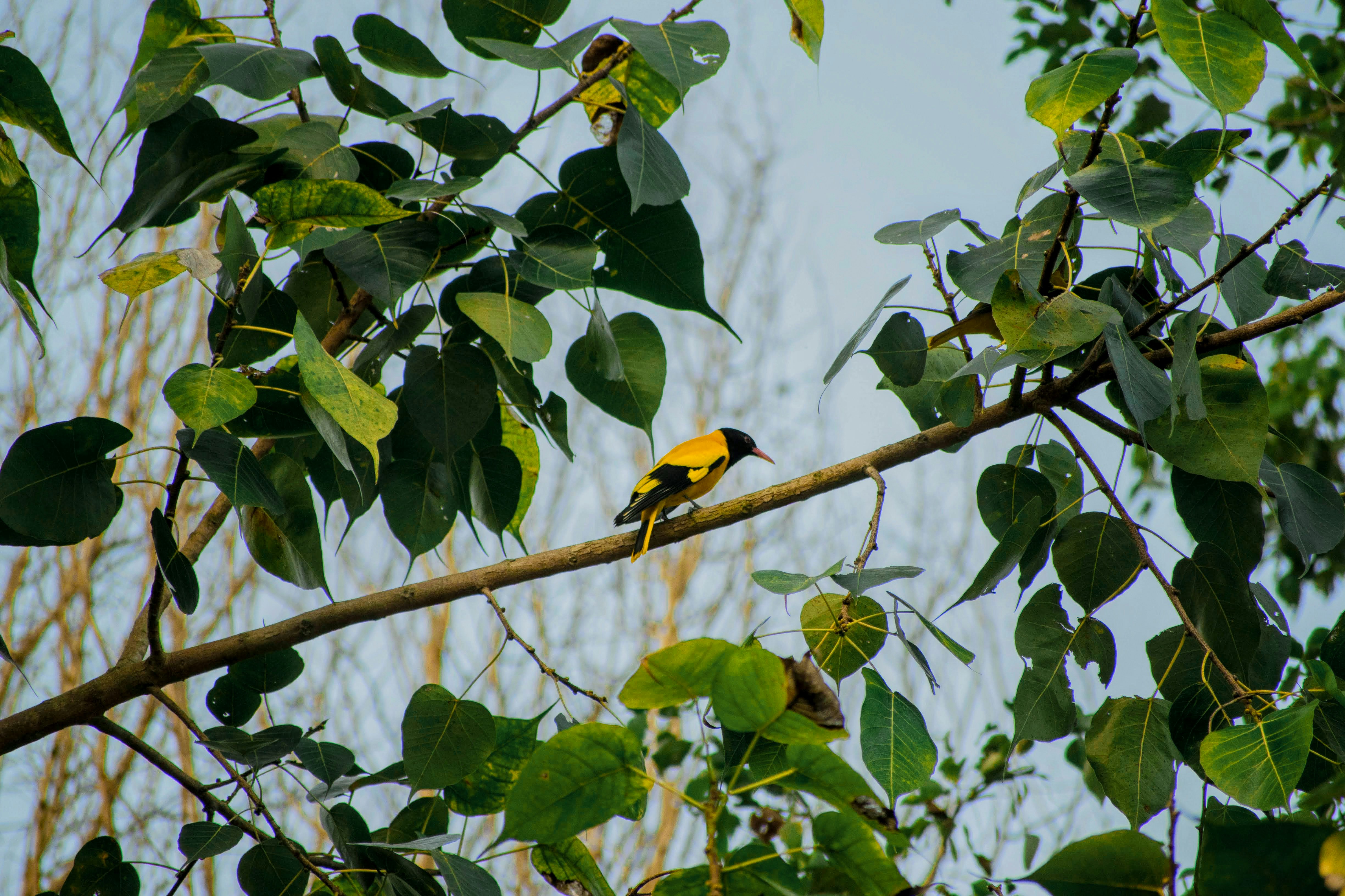 Photo by eshaverma2511