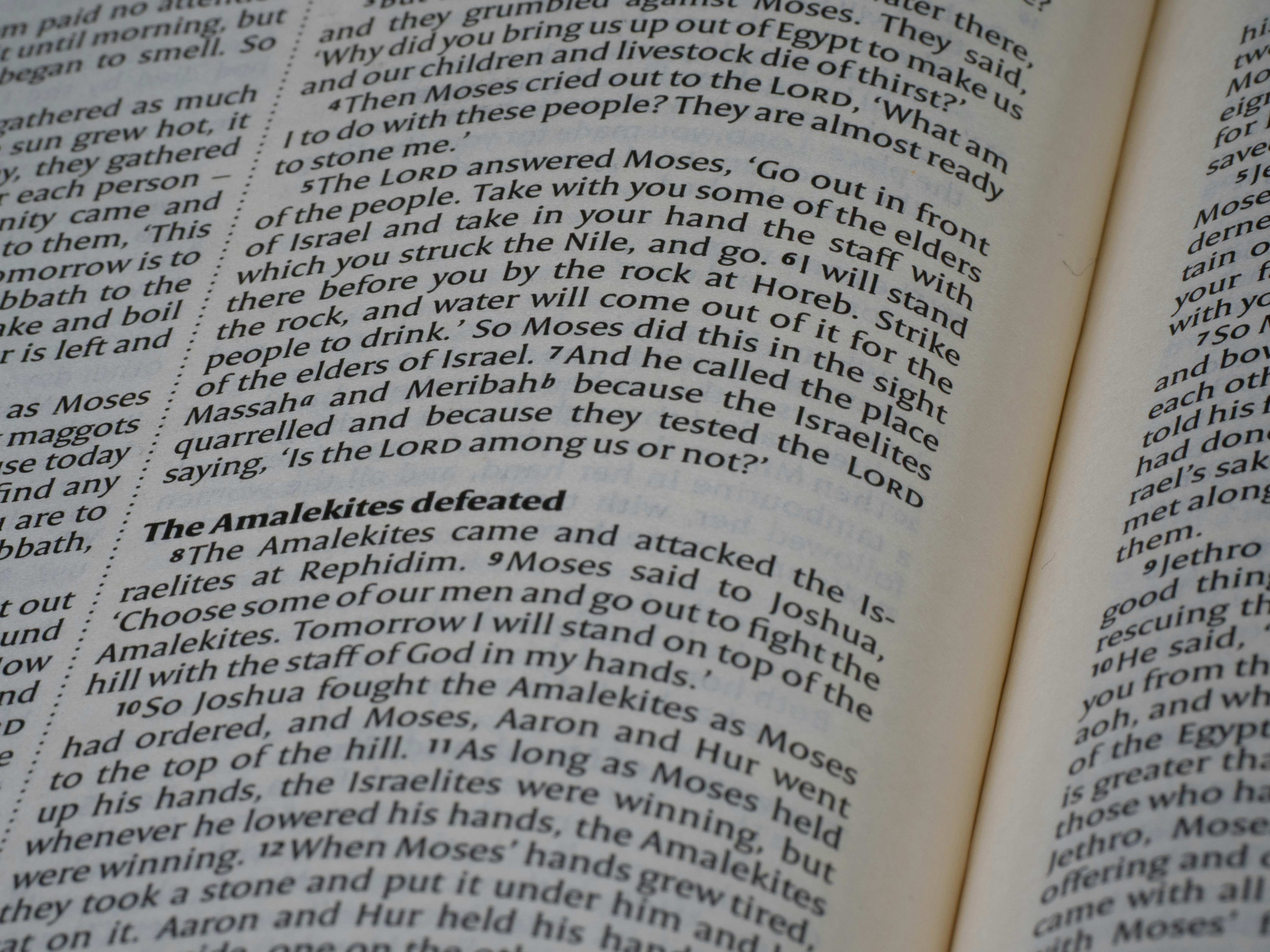 Photo by brett_jordan