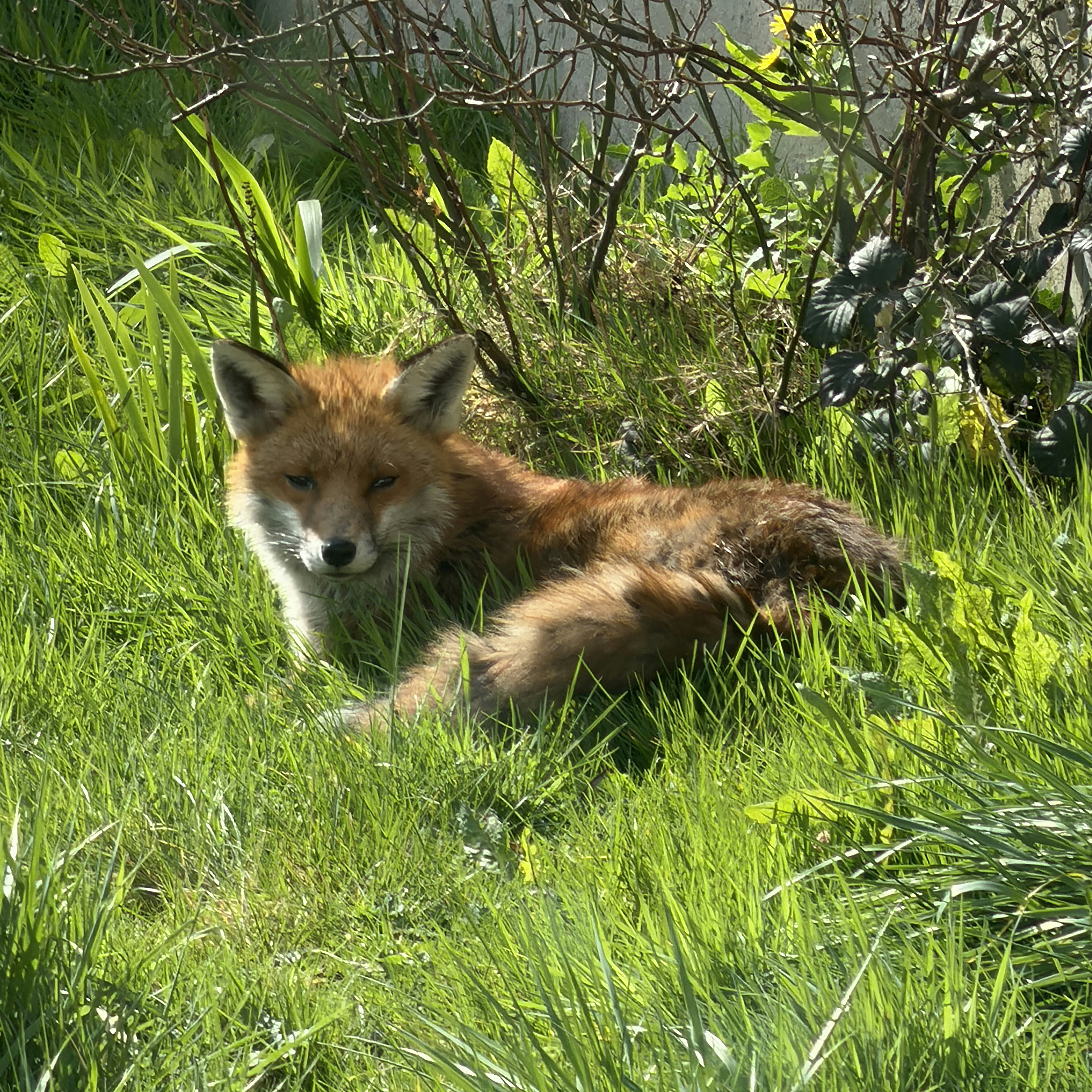 Photo by brett_jordan